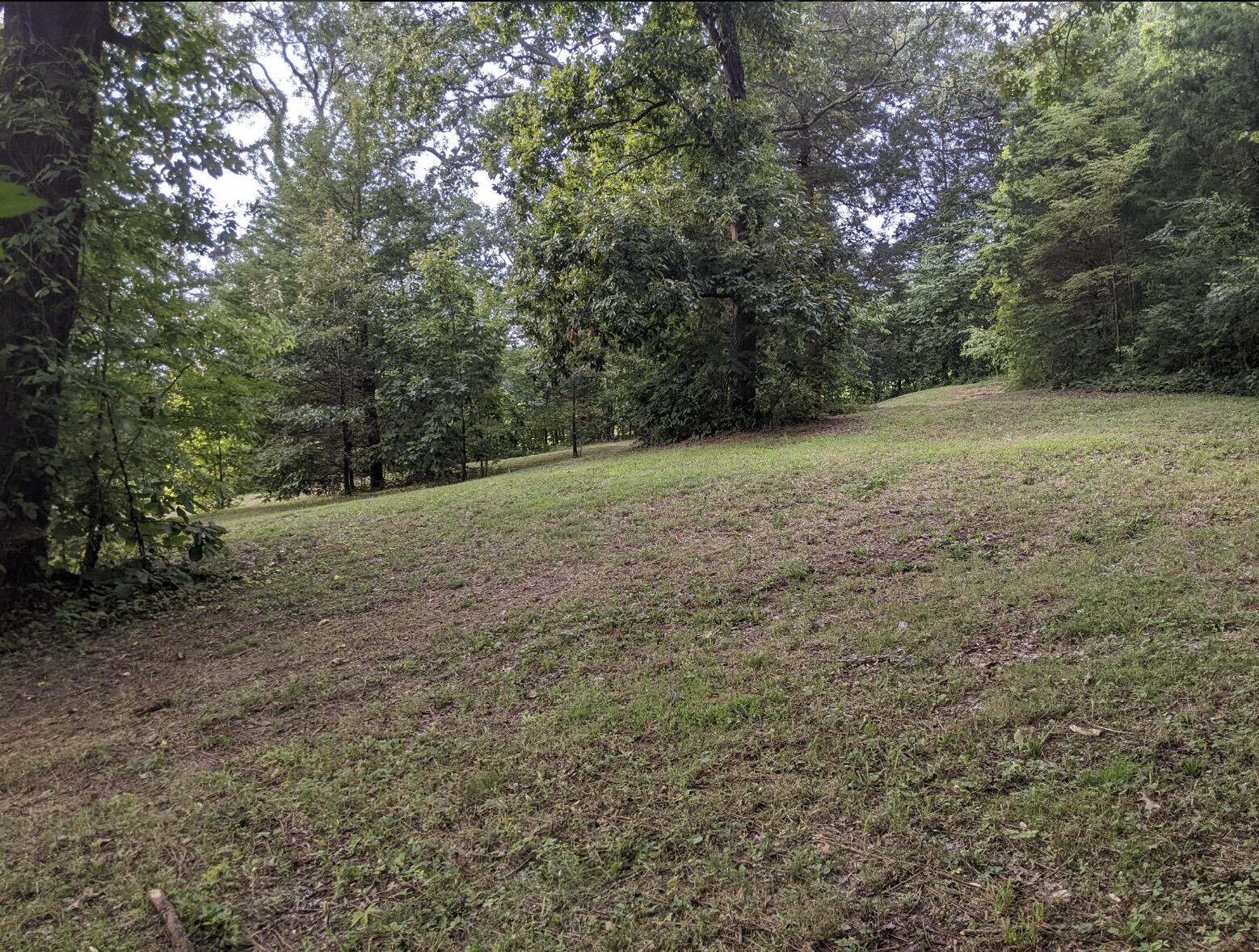 2180 Fish Hatchery Road Mohawk, TN 37810 - Photo 53 of 66 IMG_0554