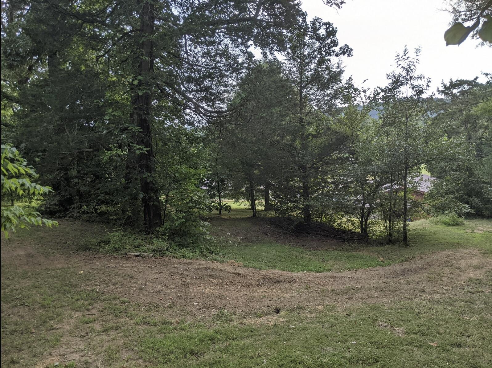 2180 Fish Hatchery Road Mohawk, TN 37810 - Photo 54 of 66 IMG_0556