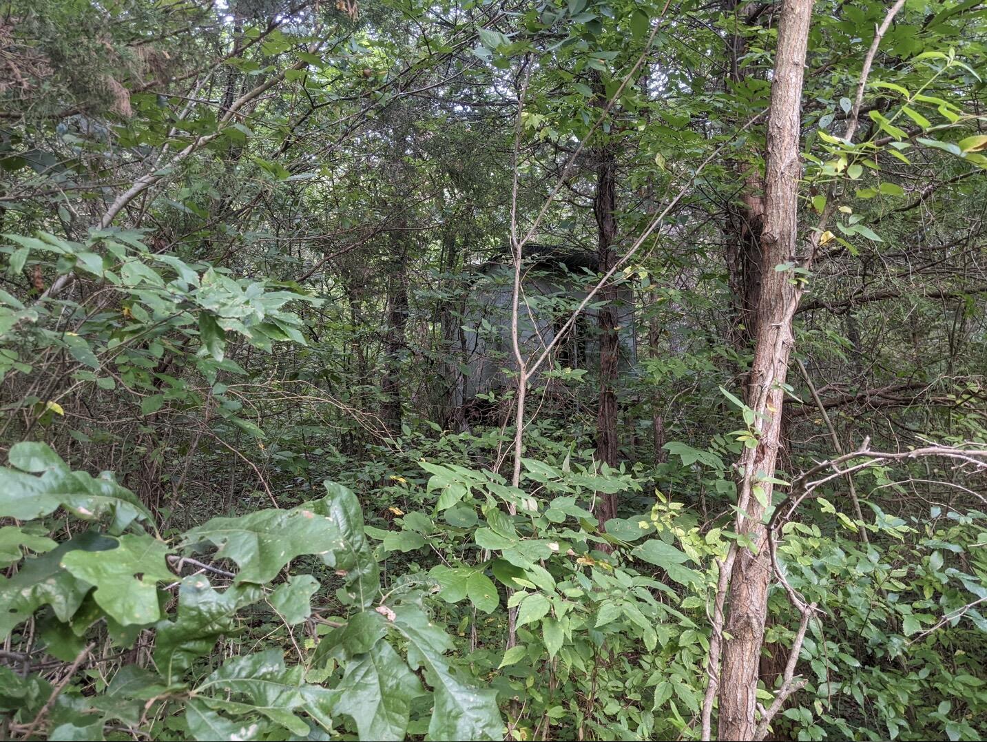 2180 Fish Hatchery Road Mohawk, TN 37810 - Photo 55 of 66 IMG_0555