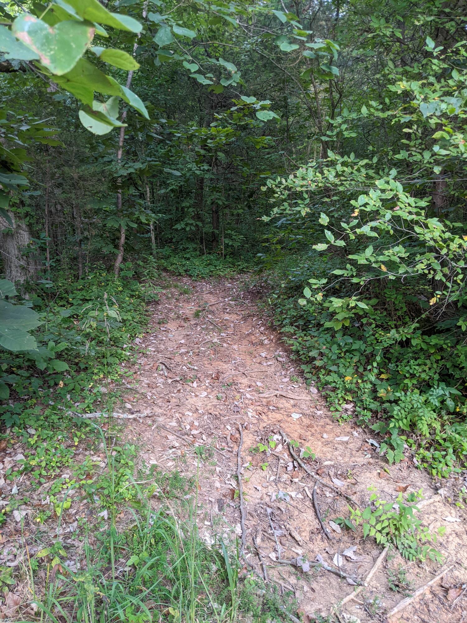 2180 Fish Hatchery Road Mohawk, TN 37810 - Photo 56 of 66 PXL_20230824_225614862