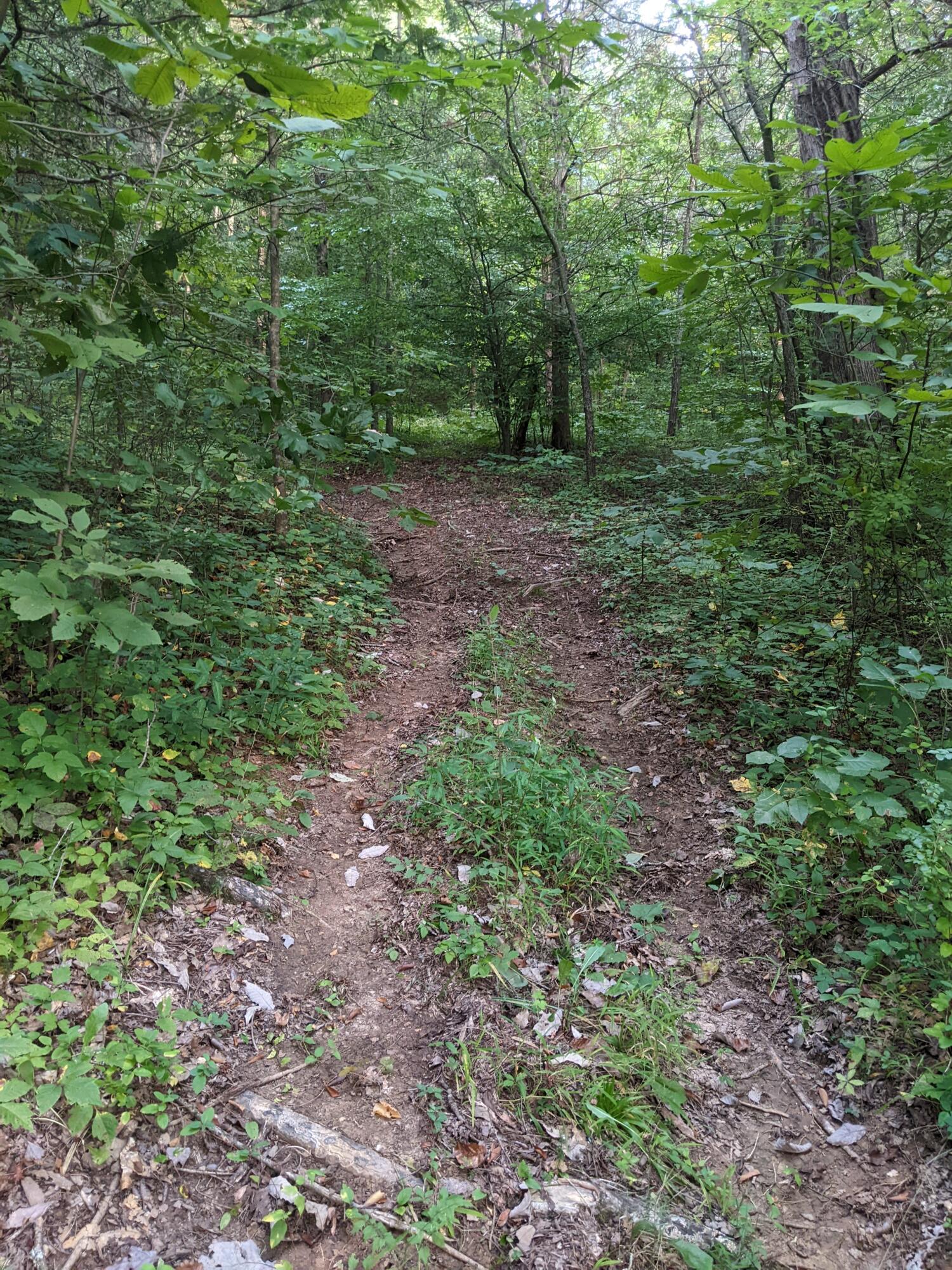 2180 Fish Hatchery Road Mohawk, TN 37810 - Photo 57 of 66 PXL_20230824_225627529