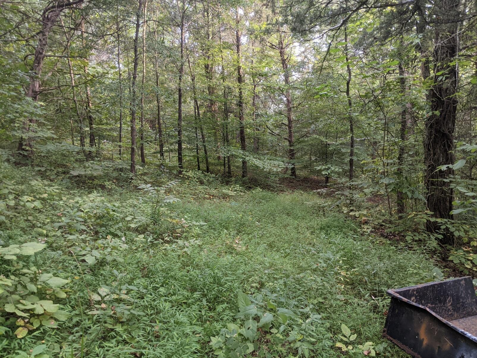 2180 Fish Hatchery Road Mohawk, TN 37810 - Photo 60 of 66 IMG_0559