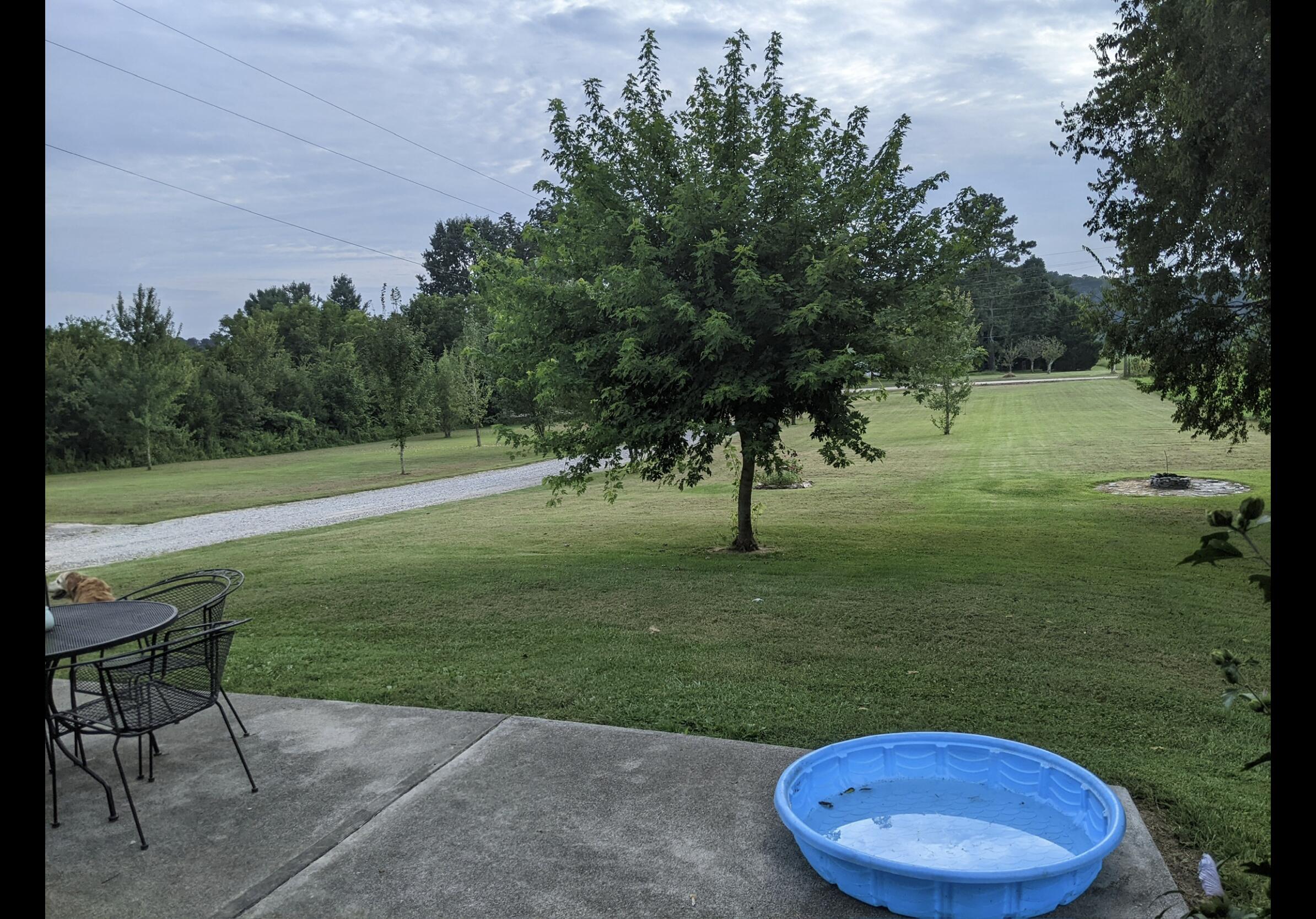 2180 Fish Hatchery Road Mohawk, TN 37810 - Photo 6 of 66 IMG_0505
