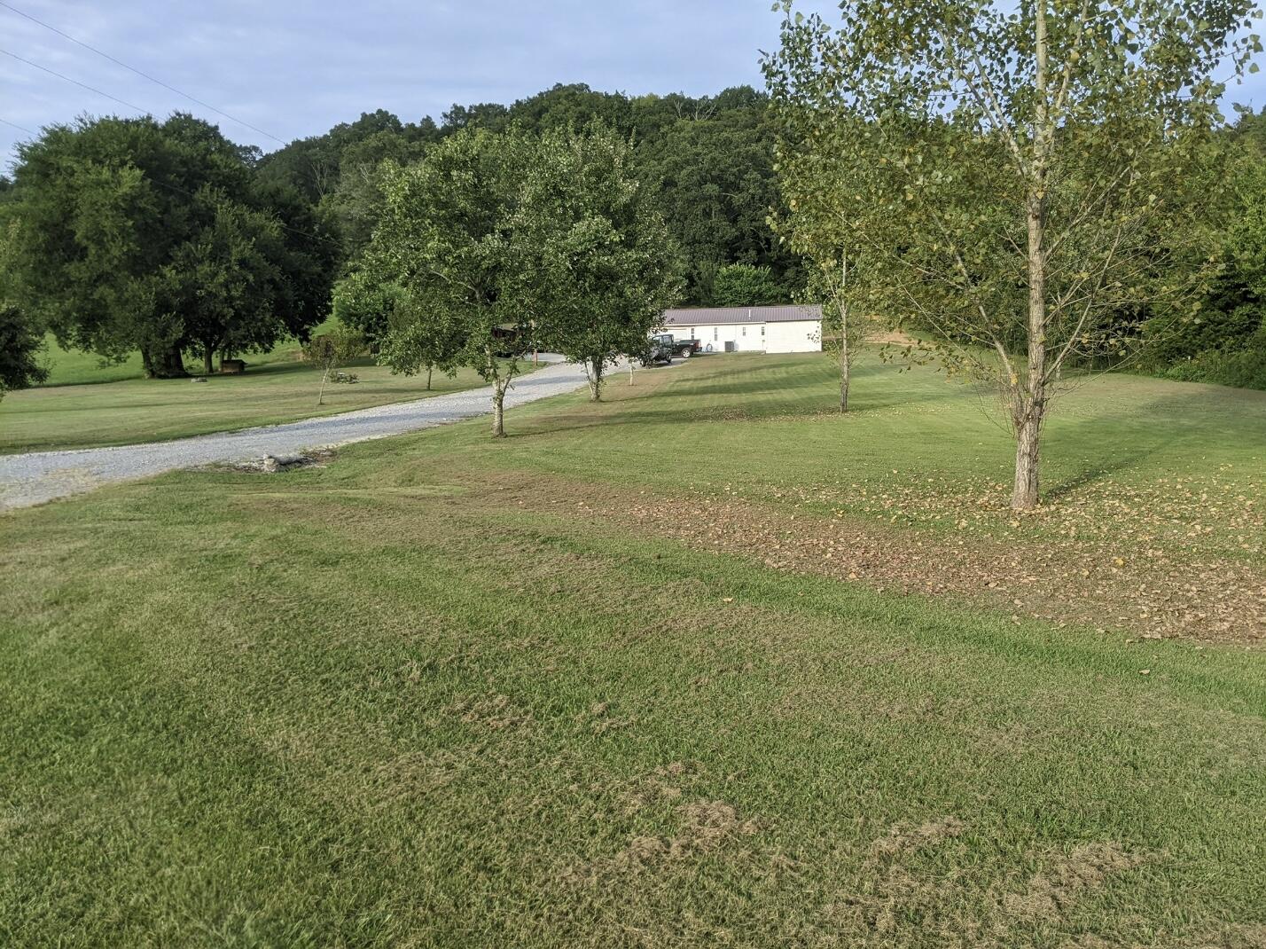 2180 Fish Hatchery Road Mohawk, TN 37810 - Photo 64 of 66 IMG_0552