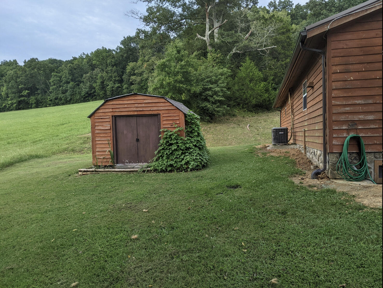 2180 Fish Hatchery Road Mohawk, TN 37810 - Photo 7 of 66 IMG_0548