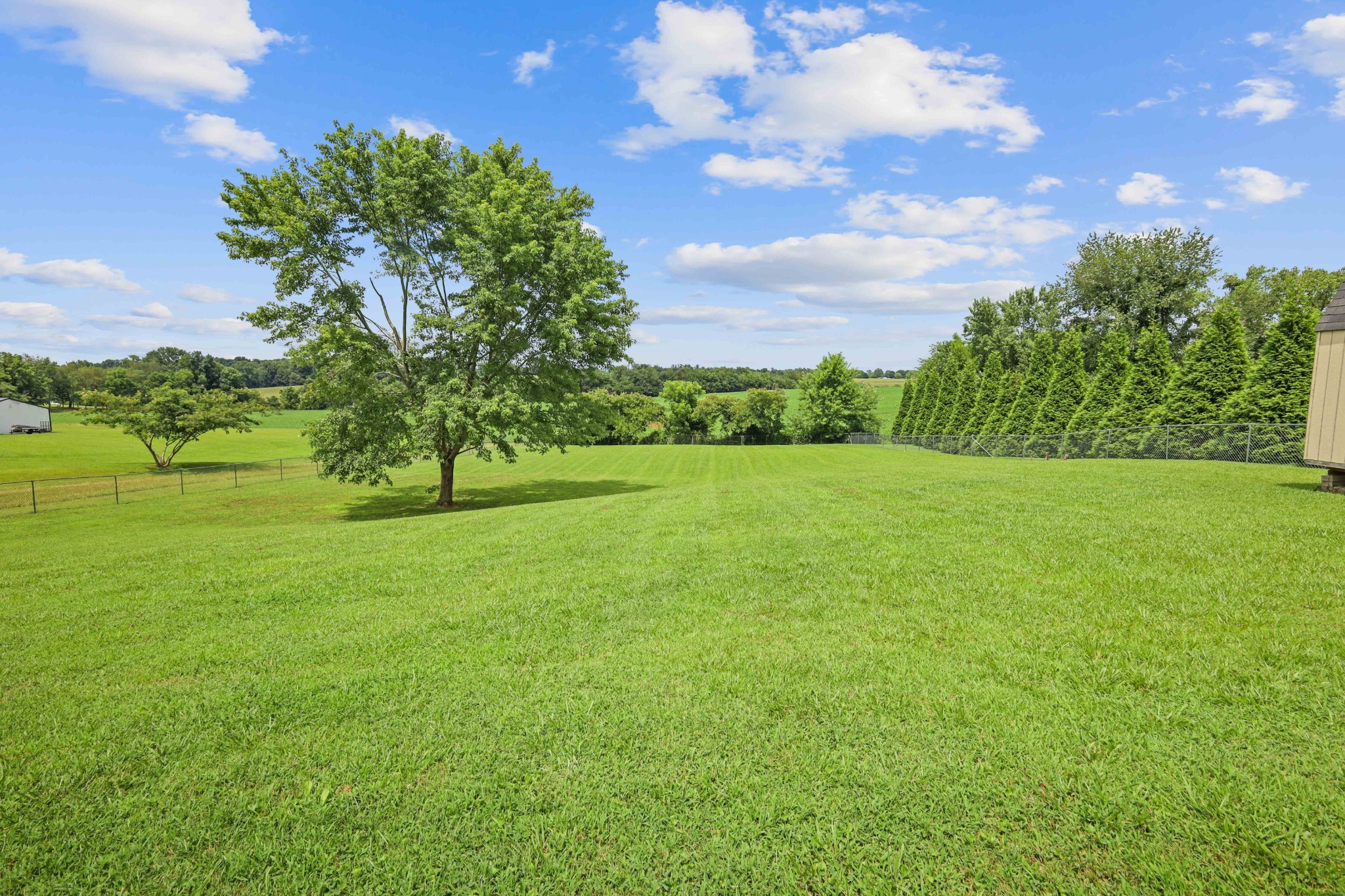 395 Lear Road Portland, TN 37148 - Photo 33 of 34 a view of yard with grass & street sign