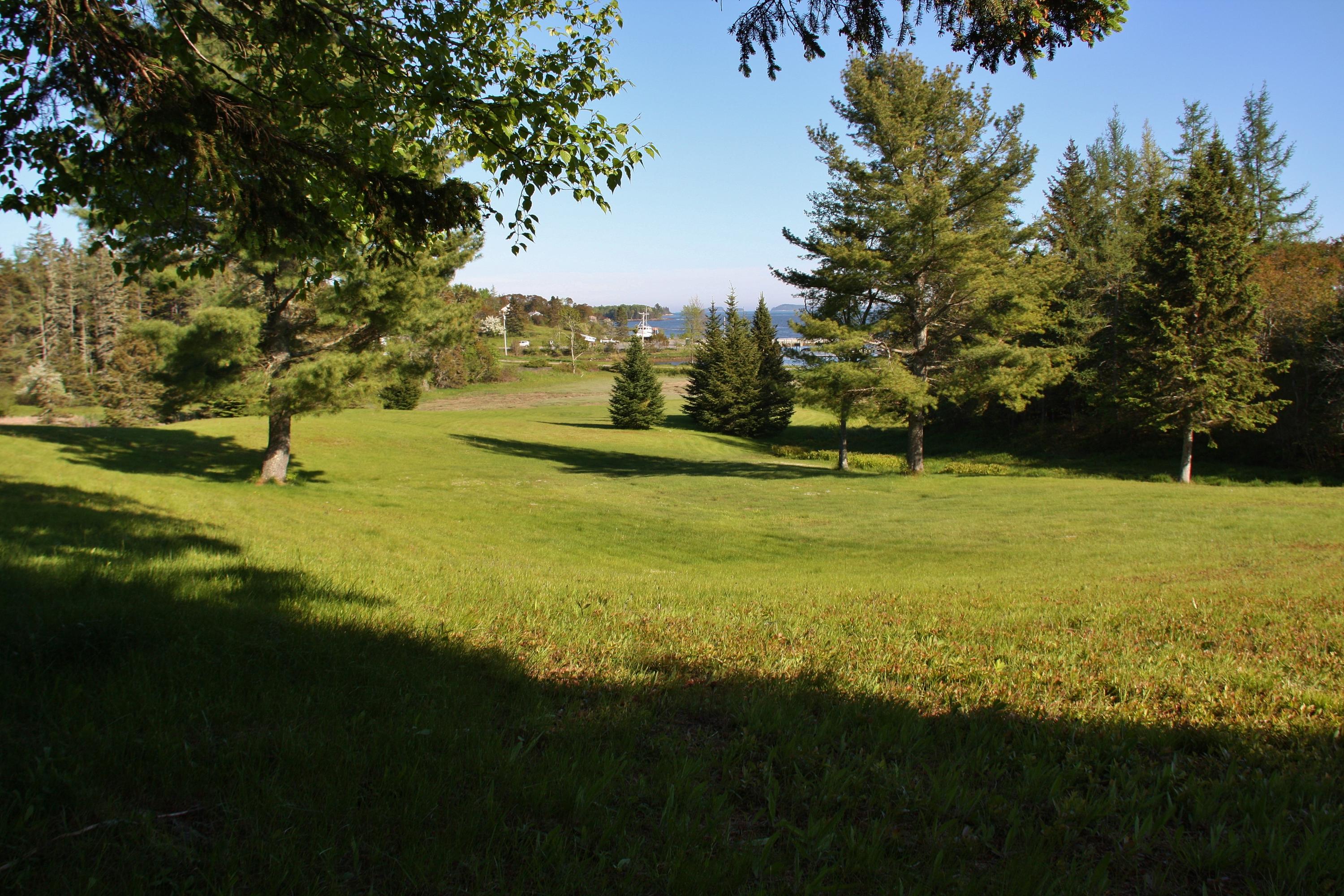 Lot 18 Back Bay Road Milbridge, ME 04658 - Photo 17 of 20 IMG_6288