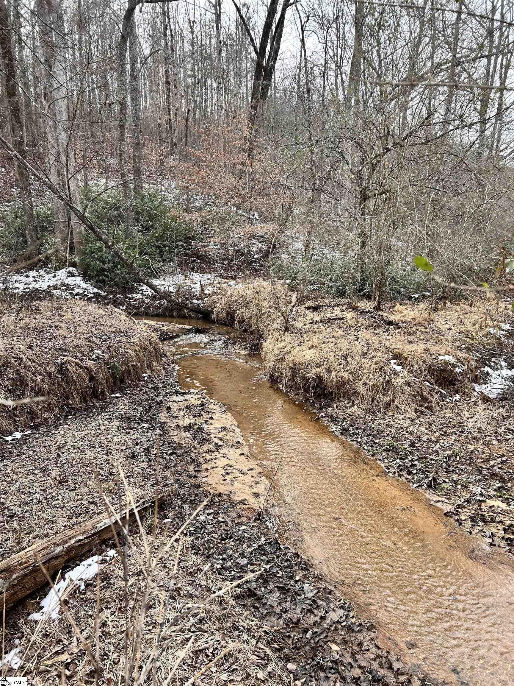 509 Crowe Creek Road Six Mile, SC 29682 - Photo 11 of 29