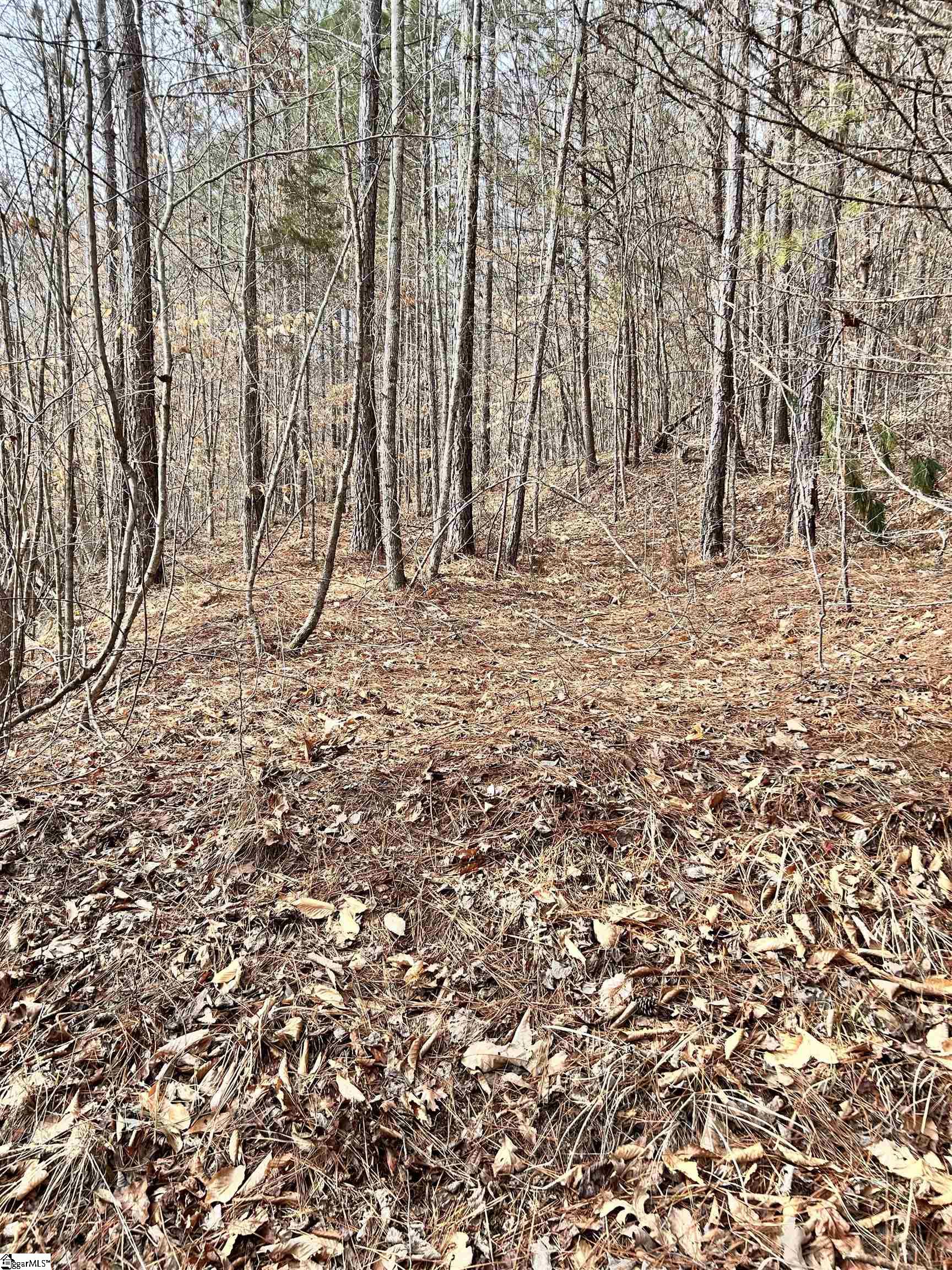 509 Crowe Creek Road Six Mile, SC 29682 - Photo 12 of 29