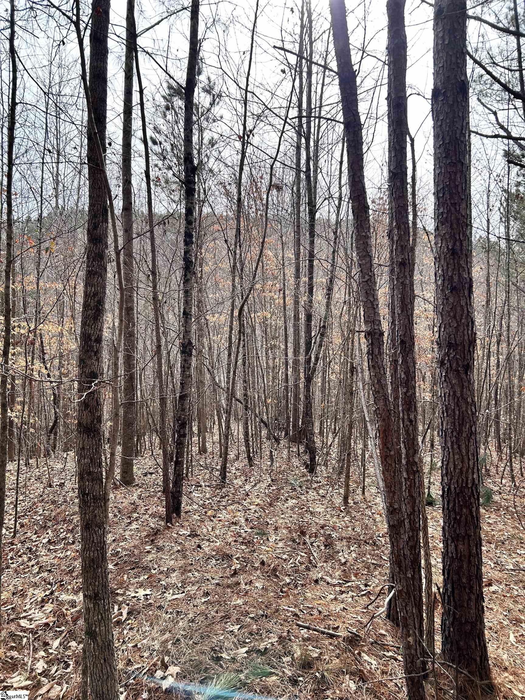 509 Crowe Creek Road Six Mile, SC 29682 - Photo 13 of 29