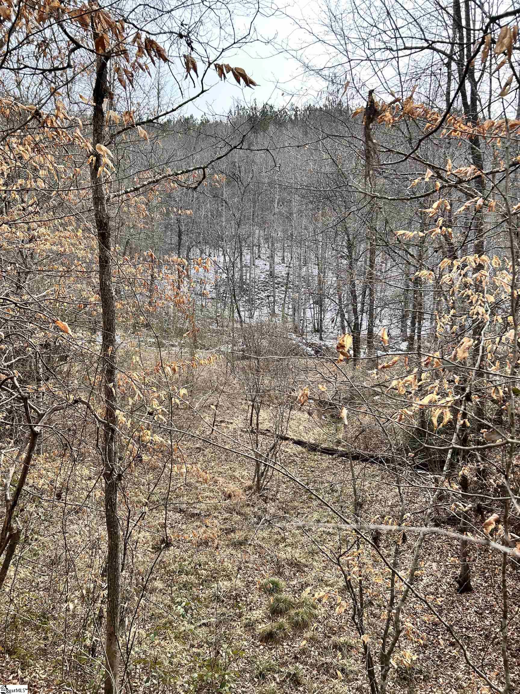 509 Crowe Creek Road Six Mile, SC 29682 - Photo 15 of 29