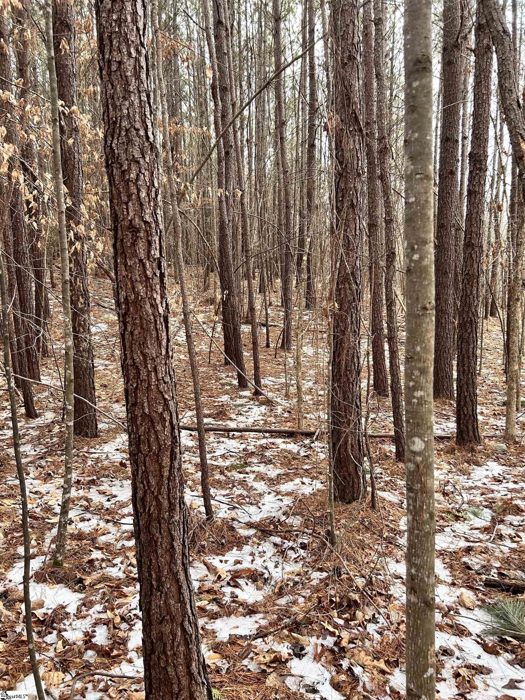 509 Crowe Creek Road Six Mile, SC 29682 - Photo 20 of 29