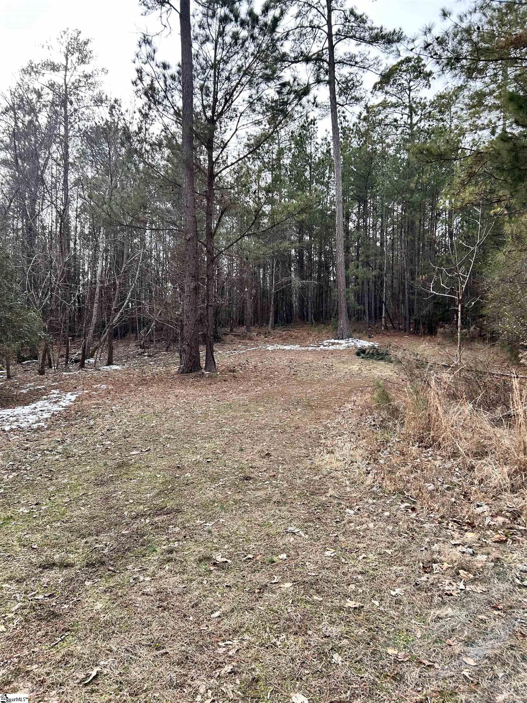 509 Crowe Creek Road Six Mile, SC 29682 - Photo 23 of 29