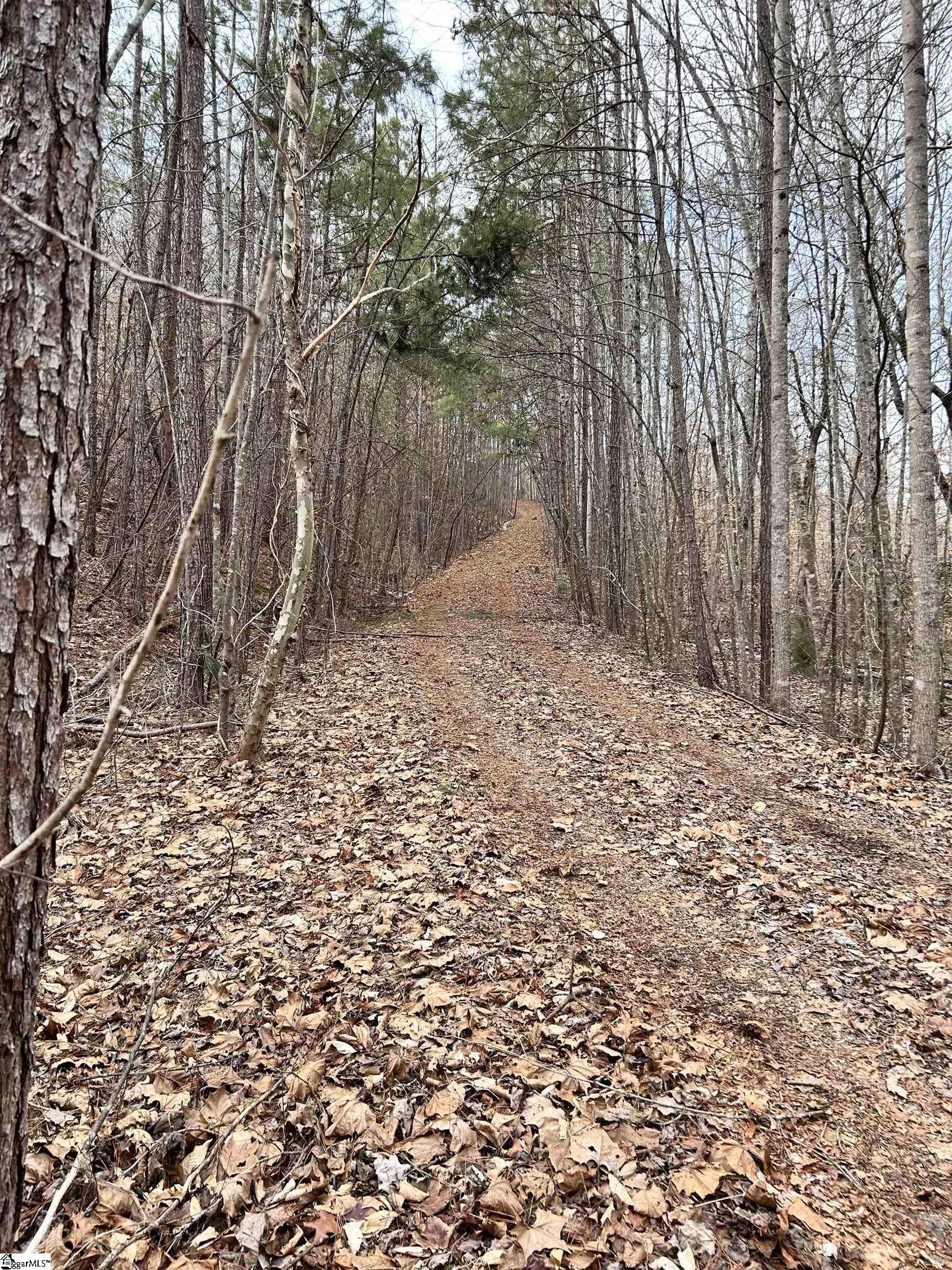 509 Crowe Creek Road Six Mile, SC 29682 - Photo 25 of 29