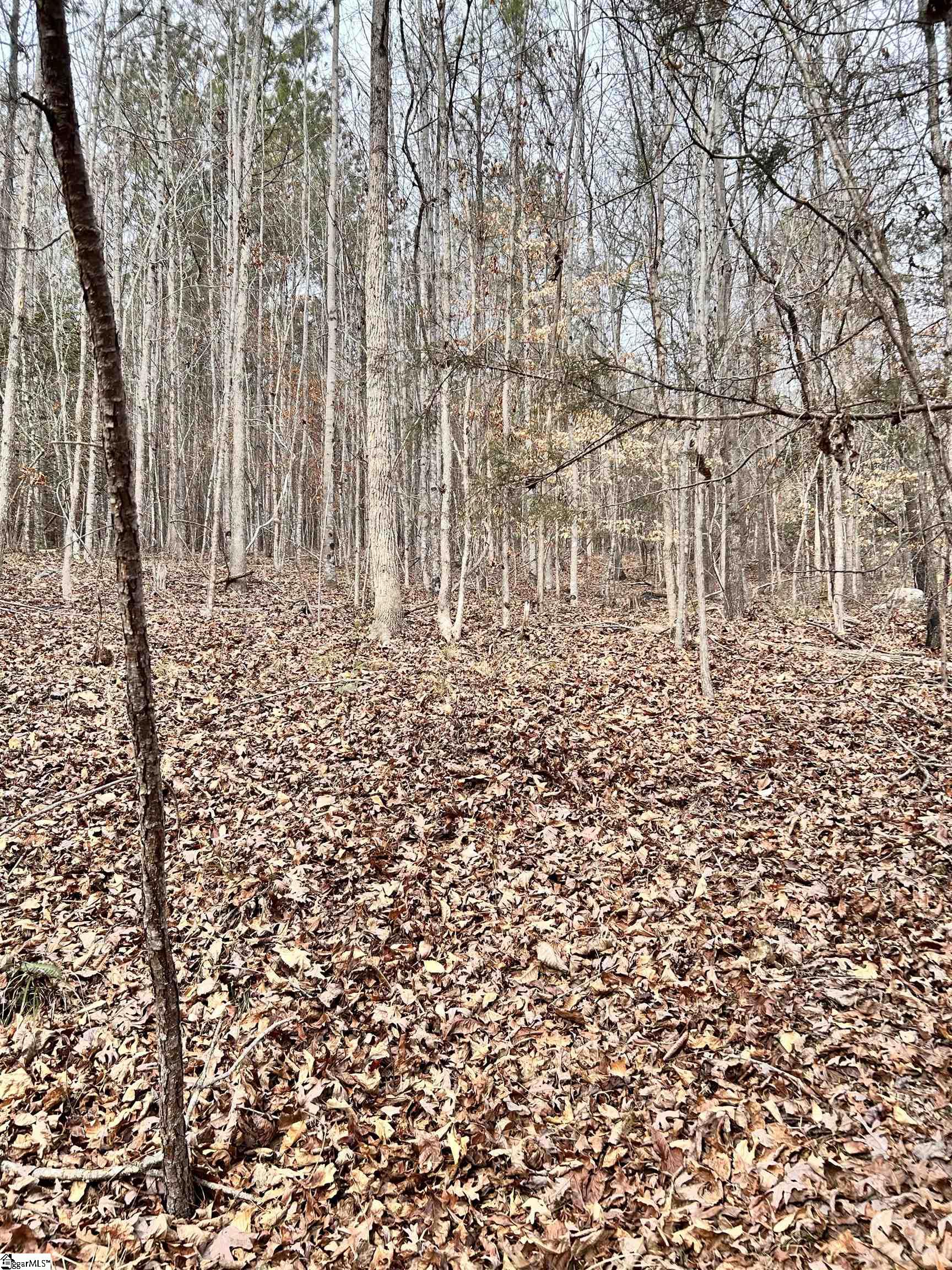 509 Crowe Creek Road Six Mile, SC 29682 - Photo 3 of 29