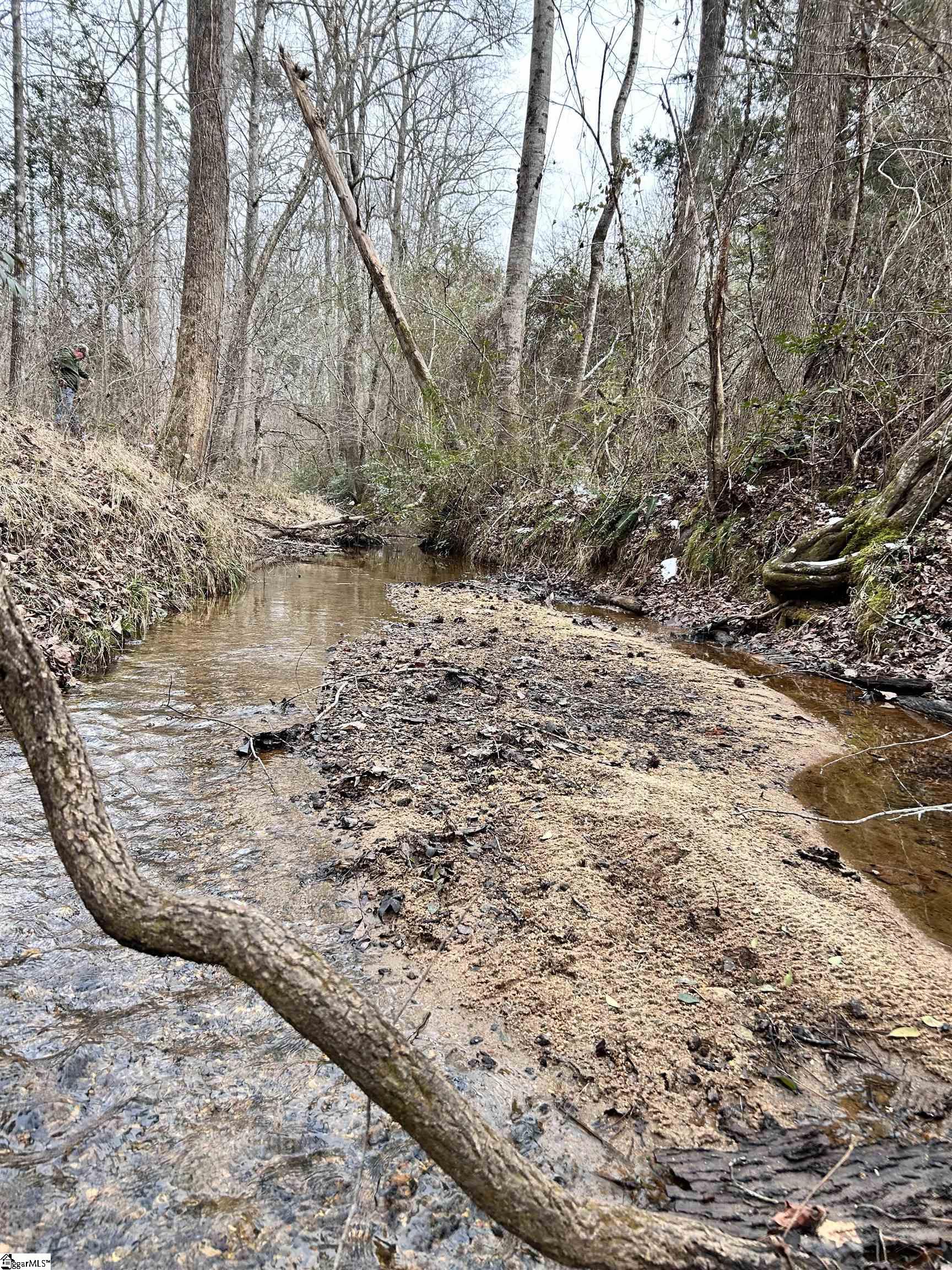 509 Crowe Creek Road Six Mile, SC 29682 - Photo 5 of 29