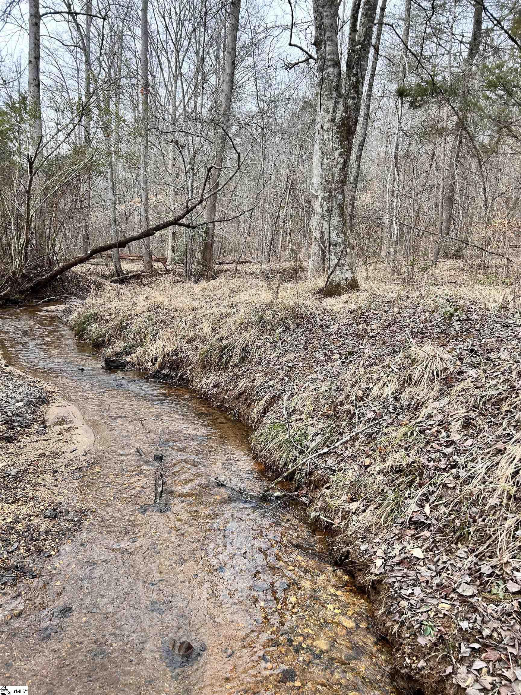 509 Crowe Creek Road Six Mile, SC 29682 - Photo 6 of 29
