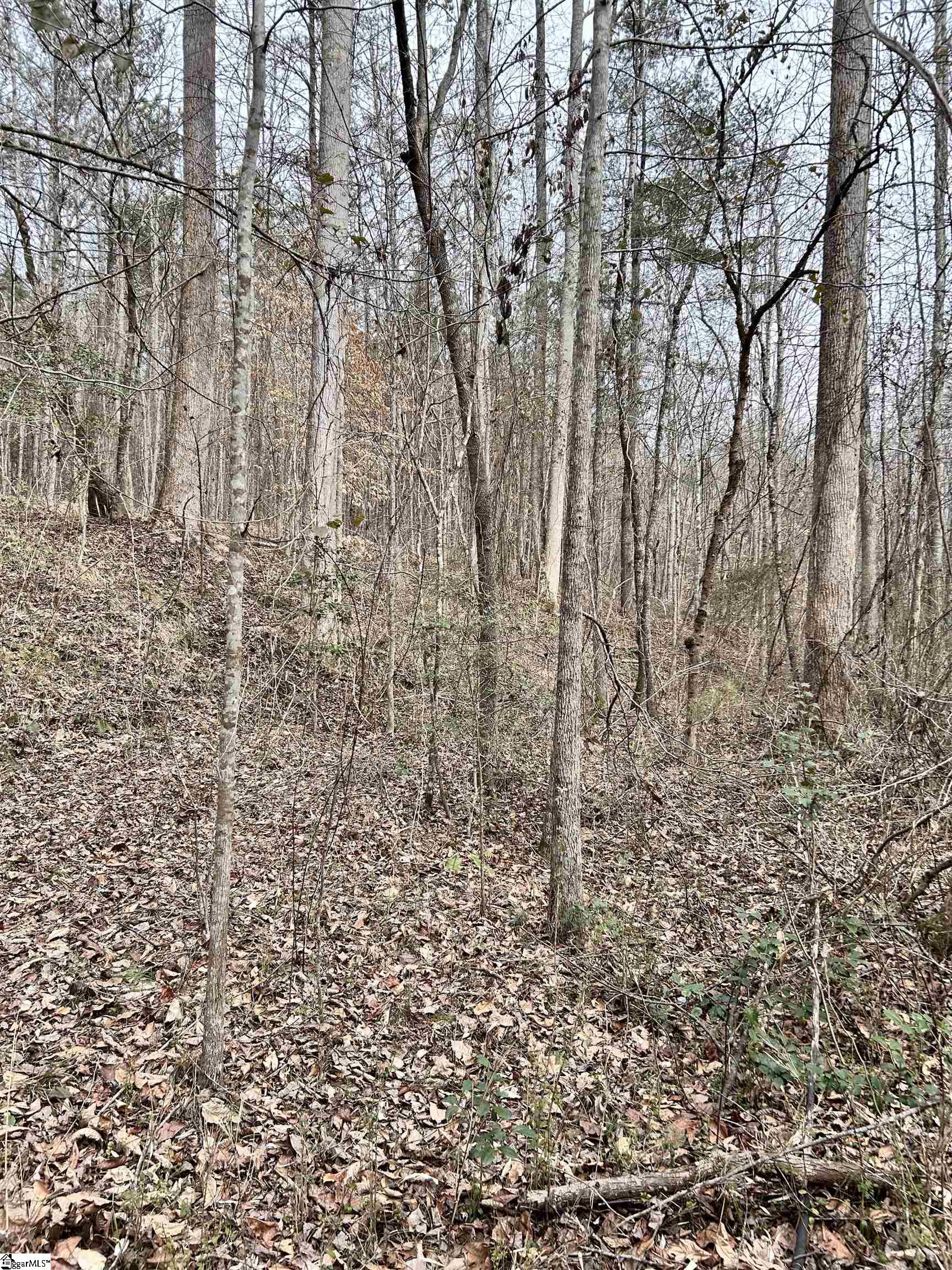 509 Crowe Creek Road Six Mile, SC 29682 - Photo 7 of 29