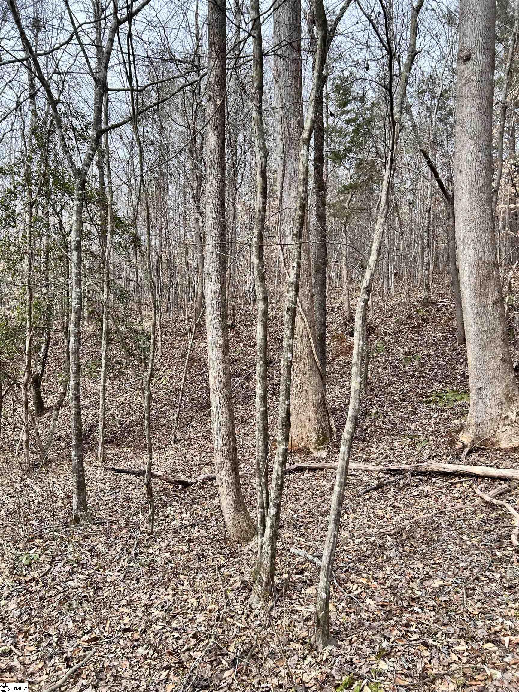 509 Crowe Creek Road Six Mile, SC 29682 - Photo 8 of 29