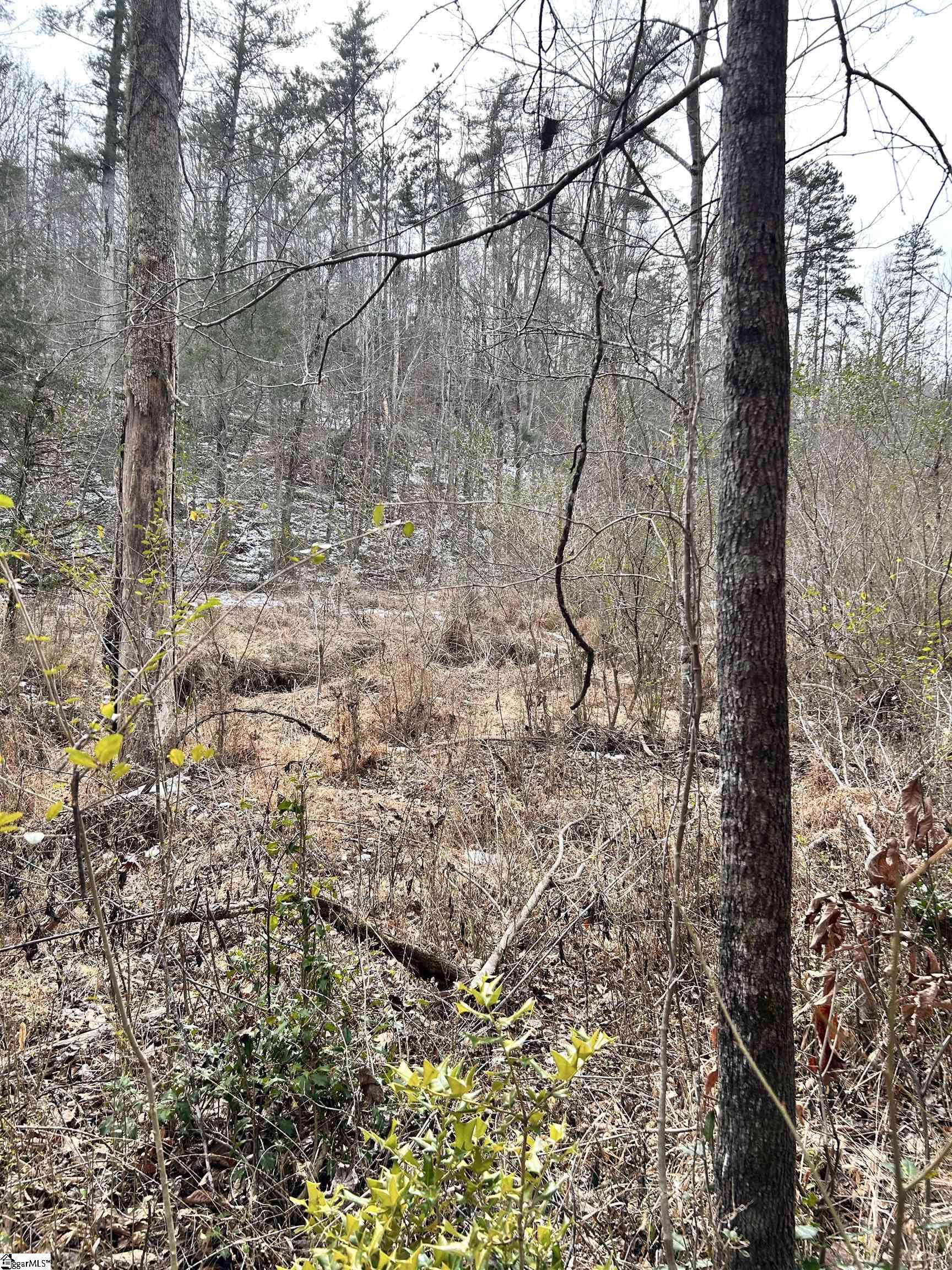 509 Crowe Creek Road Six Mile, SC 29682 - Photo 9 of 29