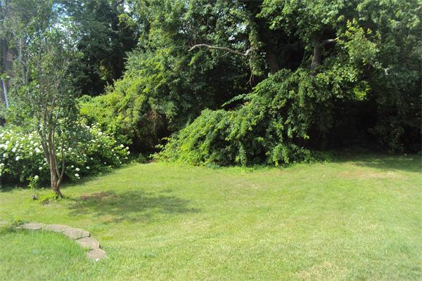 20 Monte Road Lynn, MA 01904 - Photo 6 of 8 Gallery Image 6
