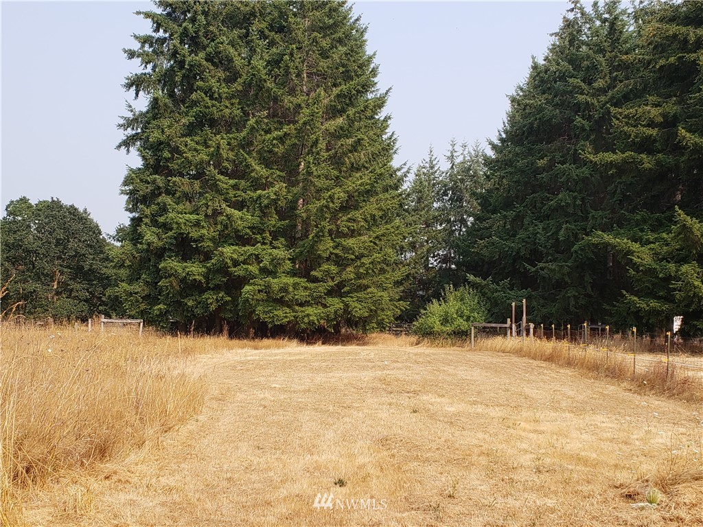 2108 Foron Road Centralia, WA 98531 - Photo 9 of 25 Gallery Image 9
