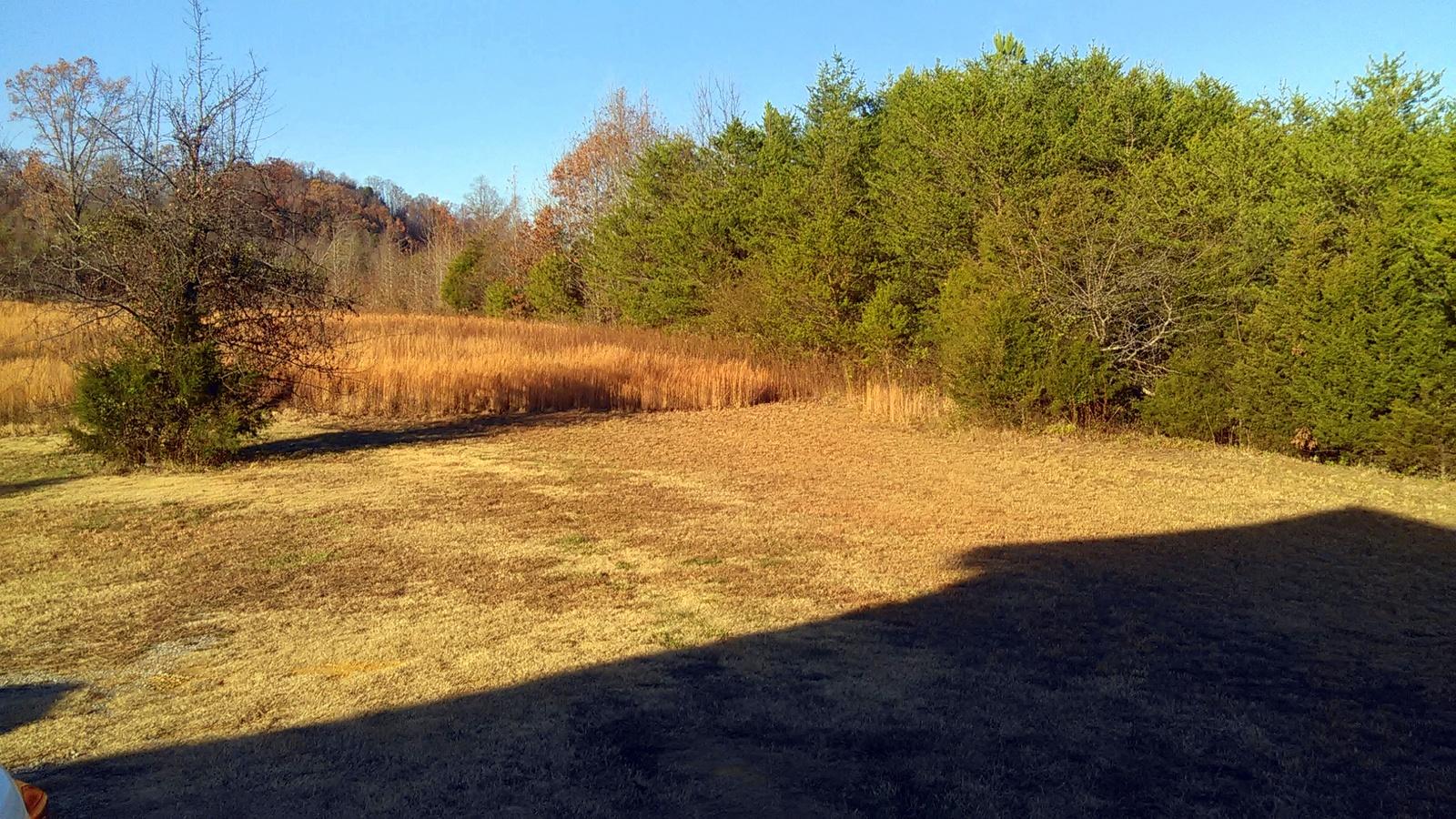 240 Beulah Road Tellico Plains, TN 37385 - Photo 35 of 40 14-IMG_20161202_154711