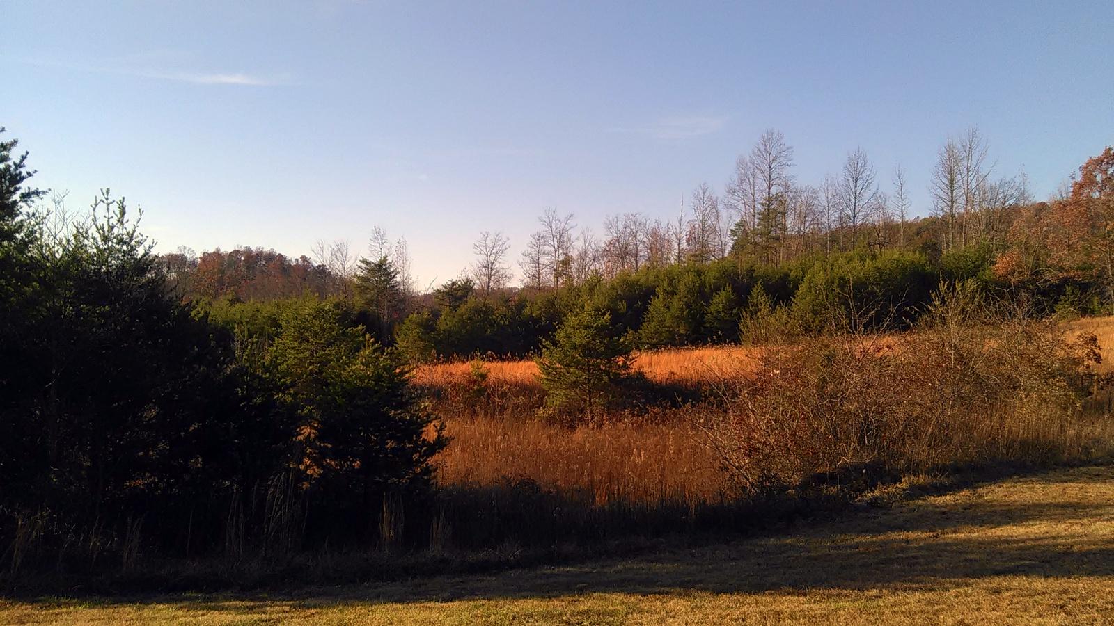 240 Beulah Road Tellico Plains, TN 37385 - Photo 36 of 40 15-IMG_20161202_154726