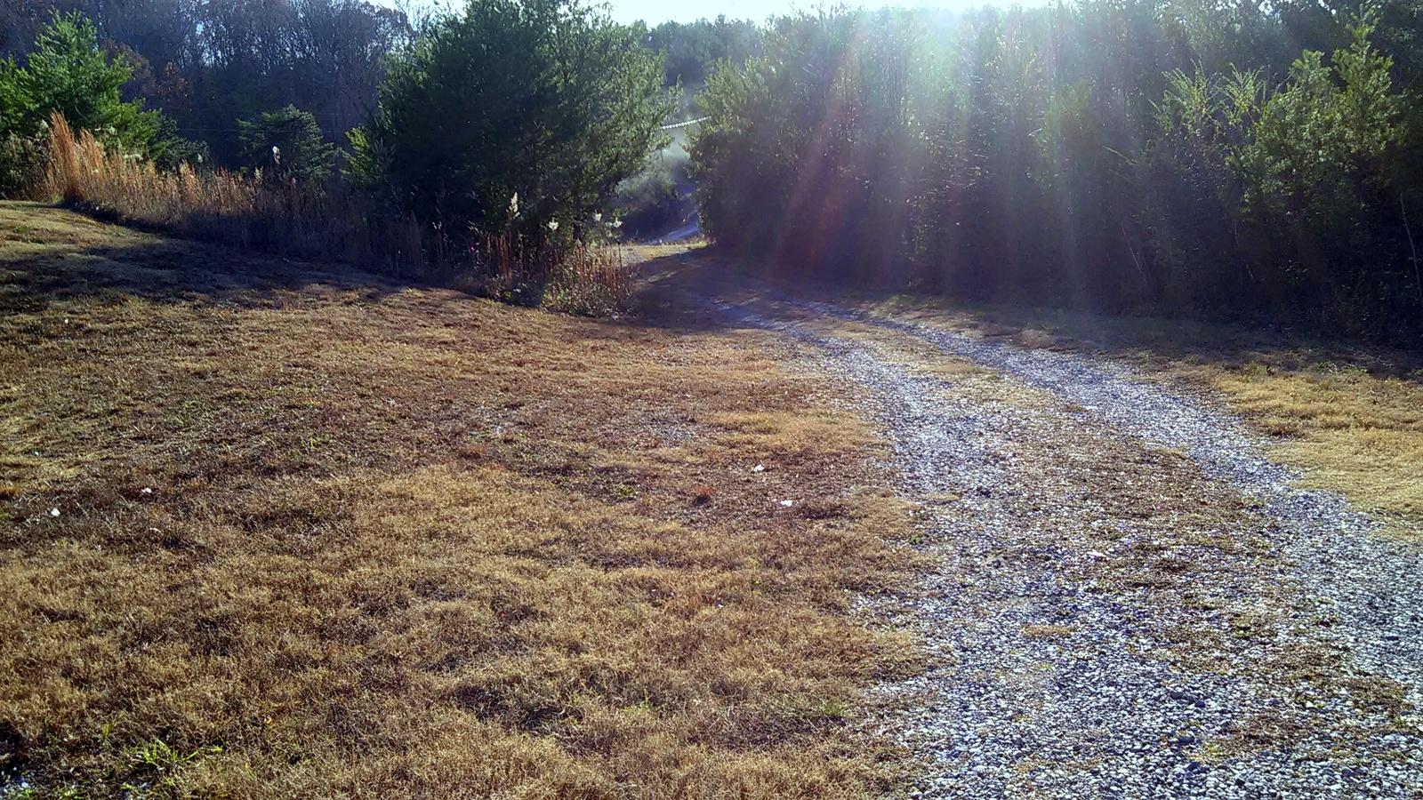 240 Beulah Road Tellico Plains, TN 37385 - Photo 37 of 40 16-IMG_20161202_154812