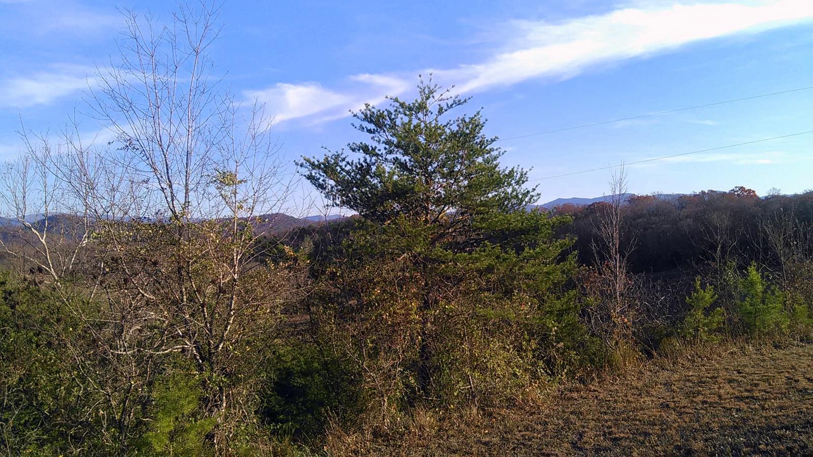 240 Beulah Road Tellico Plains, TN 37385 - Photo 38 of 40 17-IMG_20161202_155415