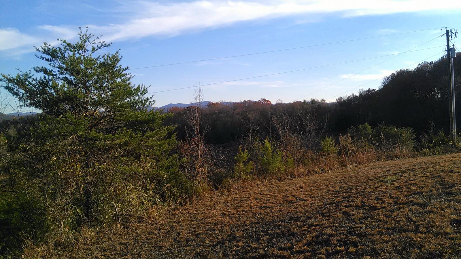 240 Beulah Road Tellico Plains, TN 37385 - Photo 39 of 40 18-IMG_20161202_155417