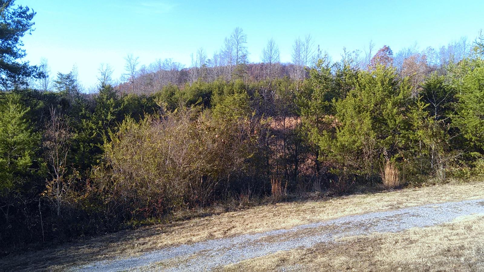 240 Beulah Road Tellico Plains, TN 37385 - Photo 40 of 40 19-IMG_20161202_154928
