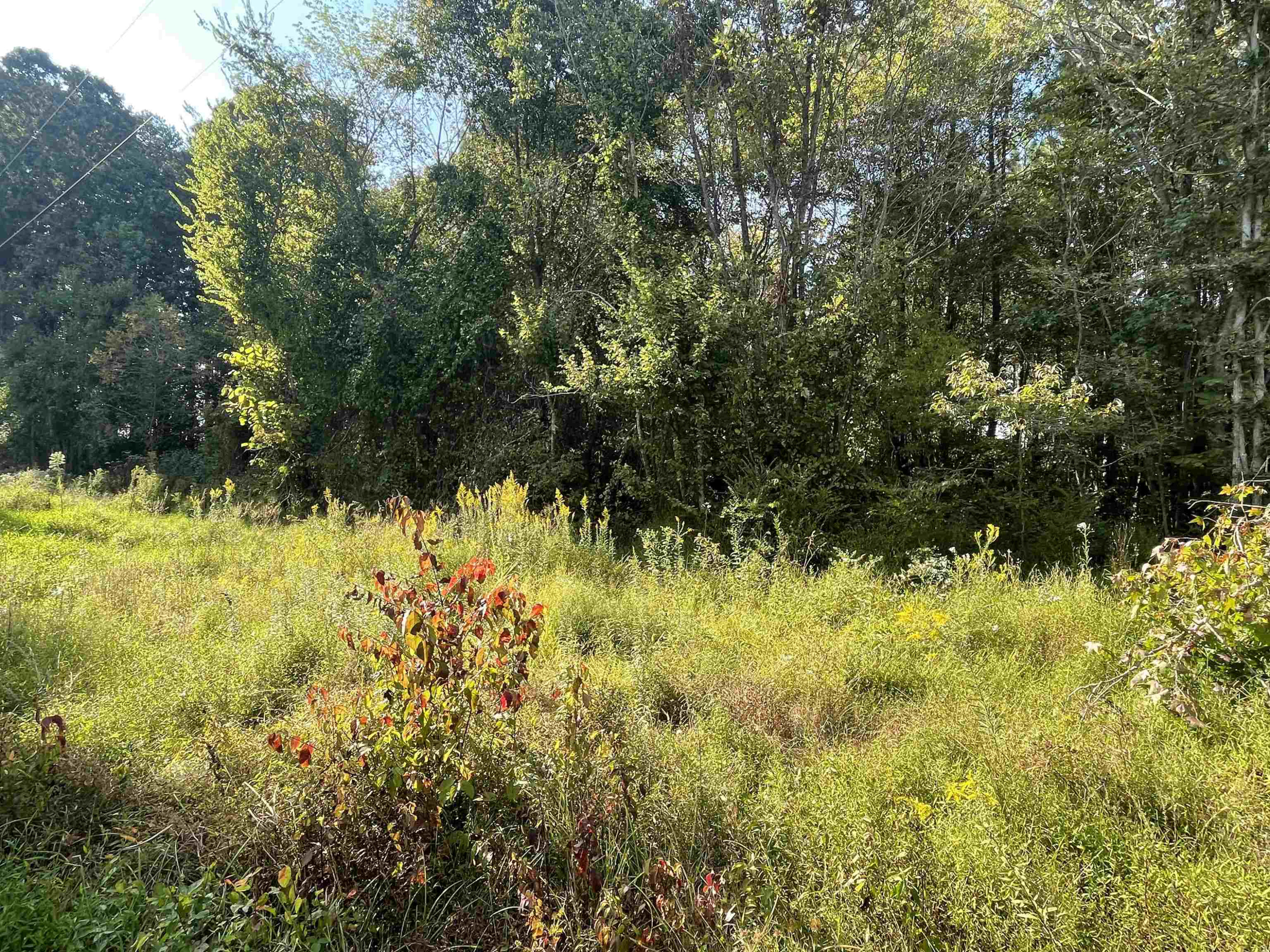 2389 Bowers Store Road Siler City, NC 27344 - Photo 3 of 5 Photo 3