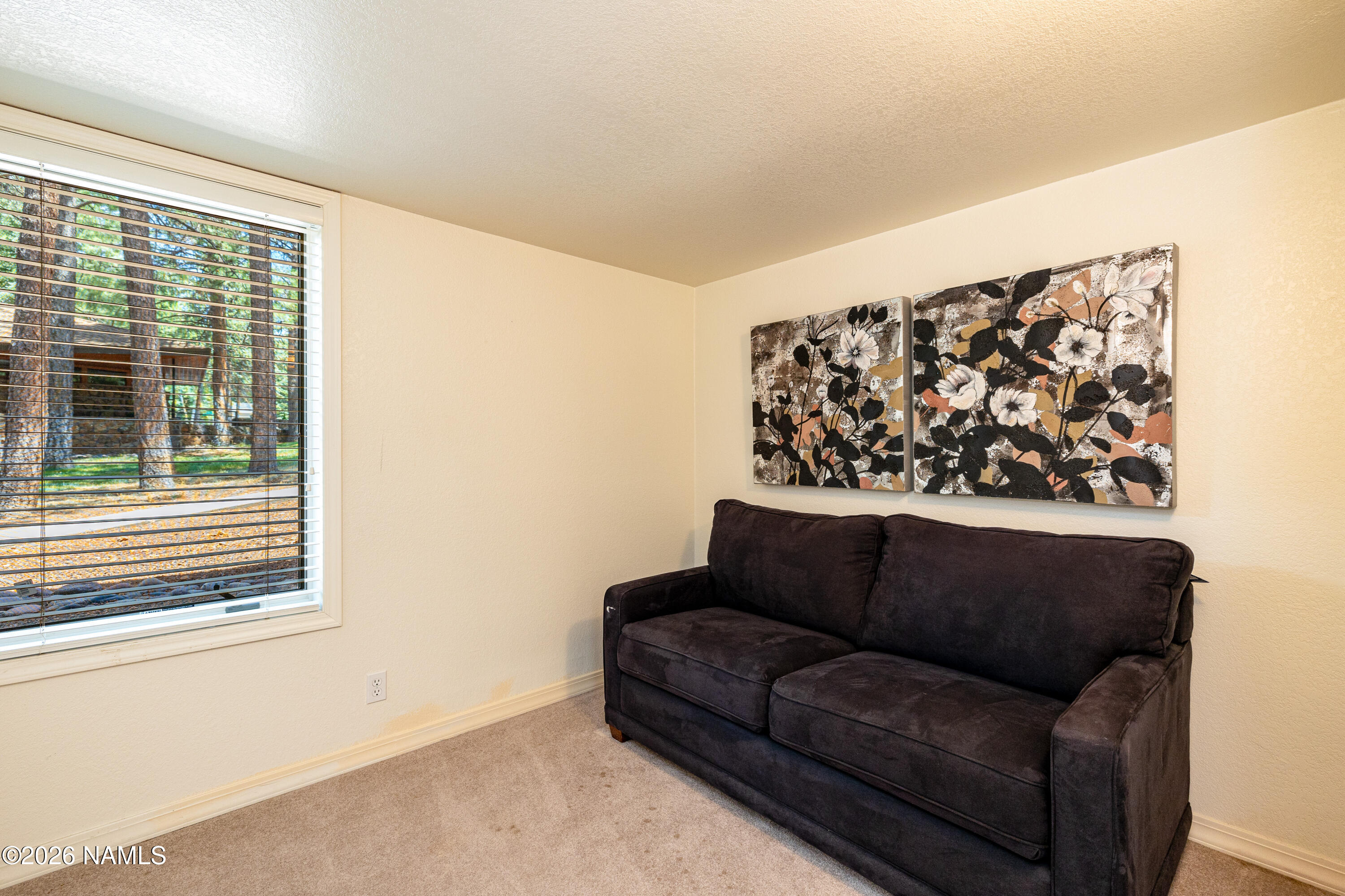 1407 North Mariposa Road Flagstaff, AZ 86004 - Photo 48 of 85 48 CP-62