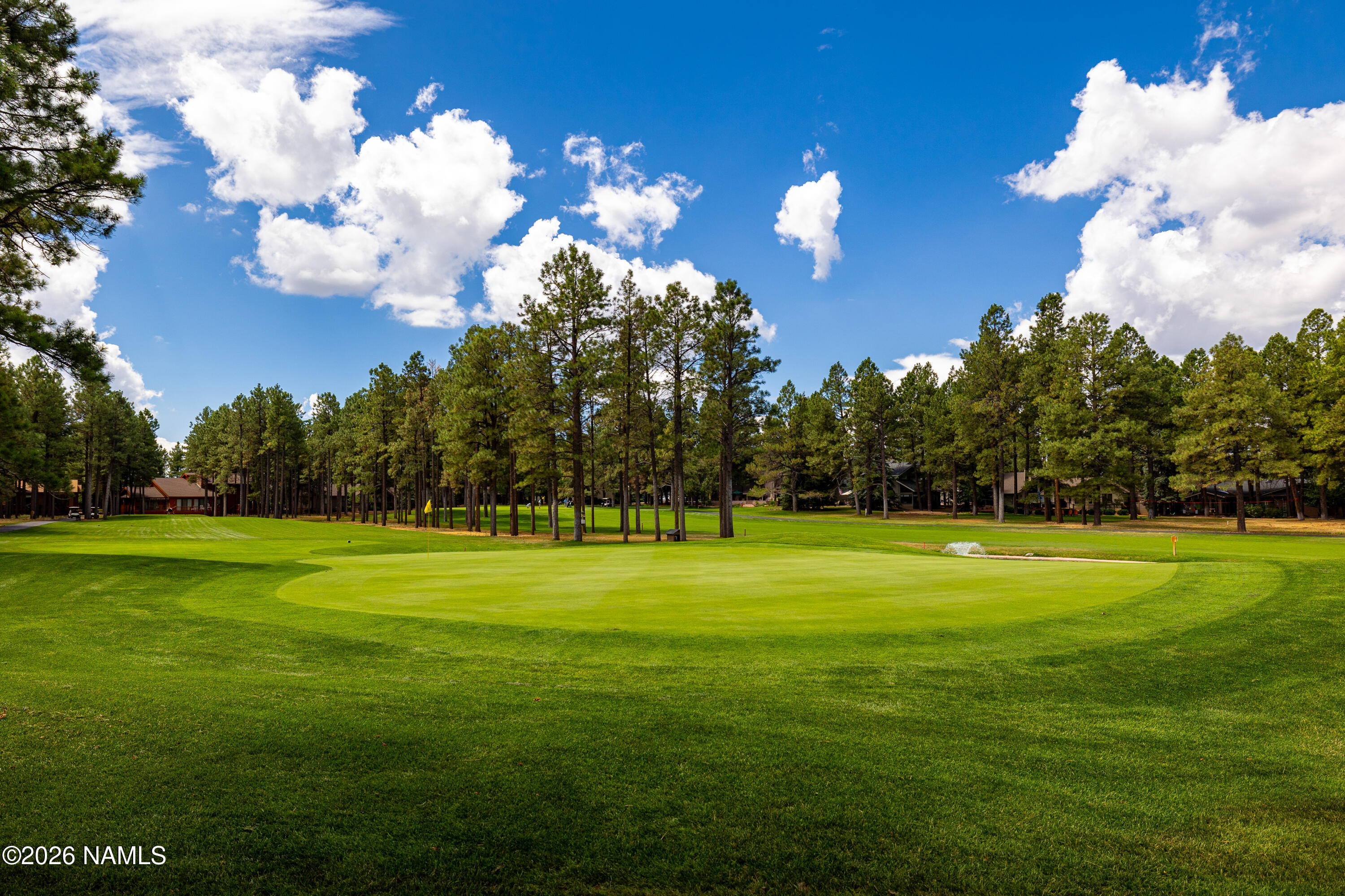 1407 North Mariposa Road Flagstaff, AZ 86004 - Photo 5 of 85 5 CP-7
