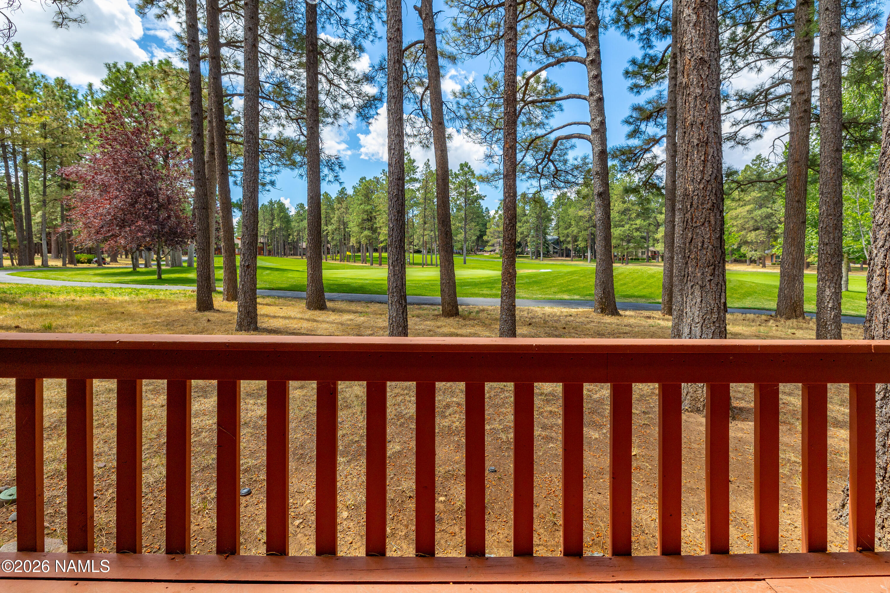 1407 North Mariposa Road Flagstaff, AZ 86004 - Photo 6 of 85 6 CP-11