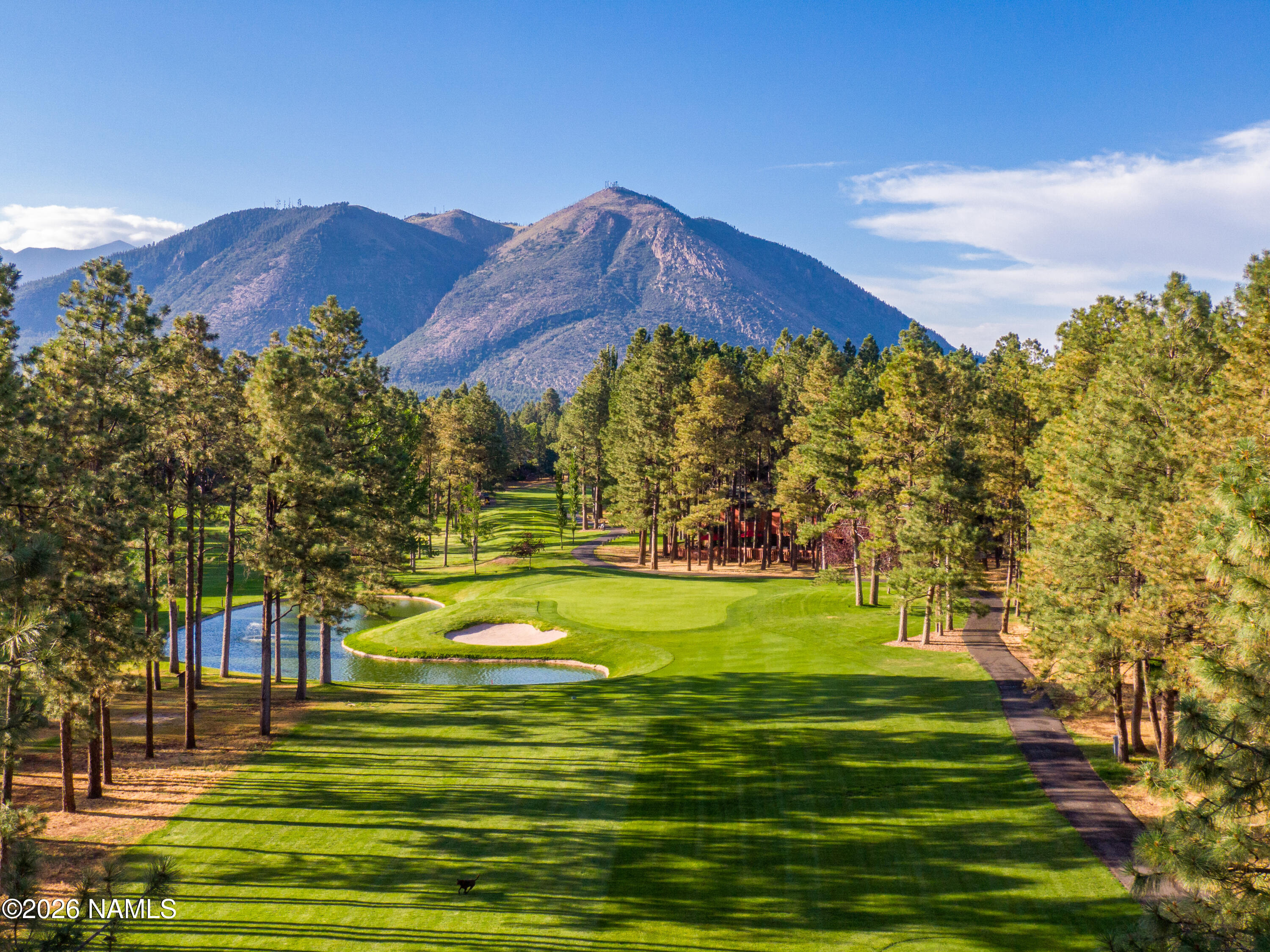 1407 North Mariposa Road Flagstaff, AZ 86004 - Photo 66 of 85 66 CP-77