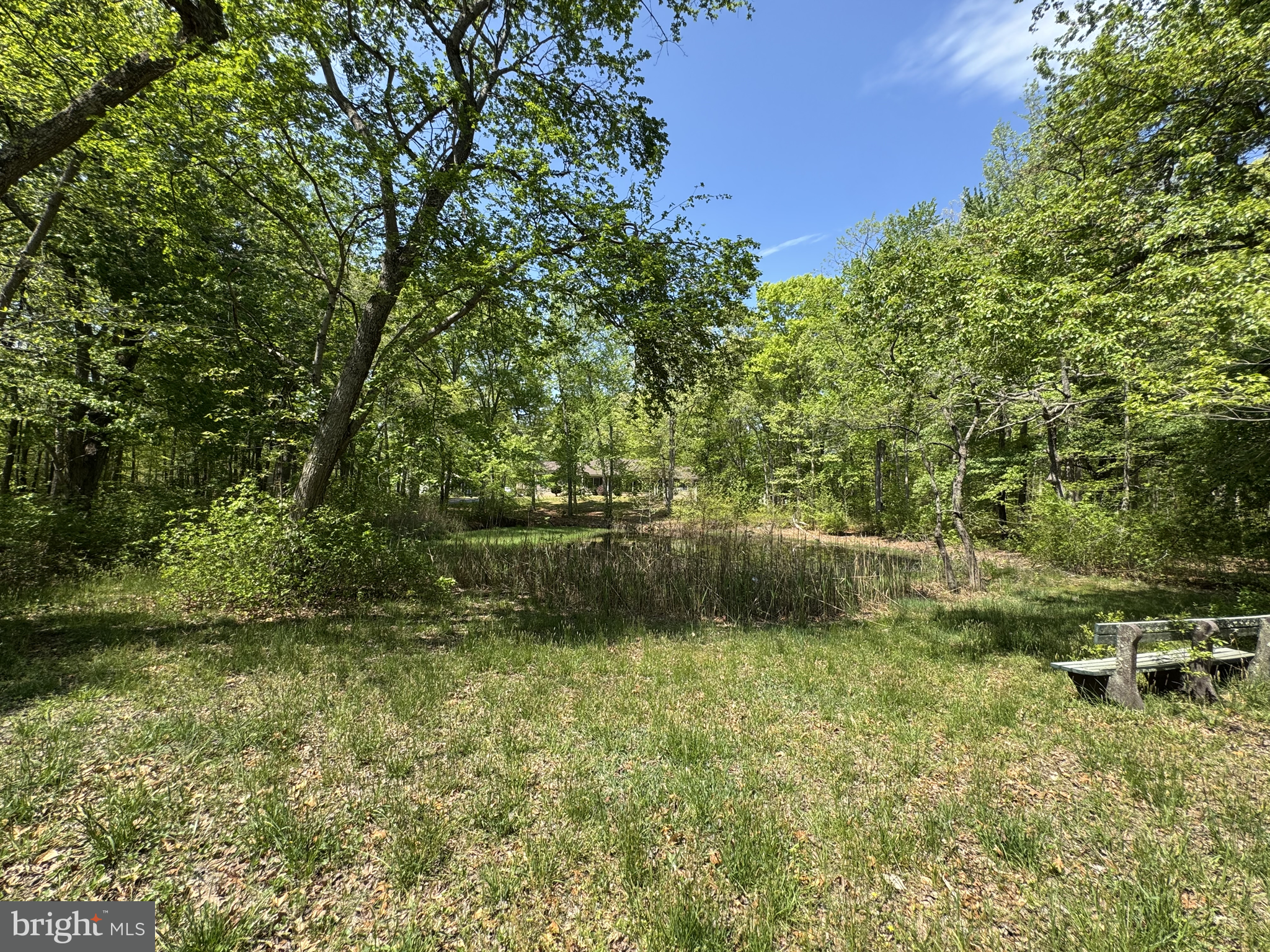 174 Pine Tree Road Townsend, DE 19734 - Photo 16 of 79