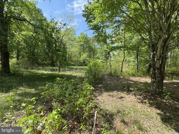 $1,100,000 | 174 Pine Tree Road, Townsend, DE 19734