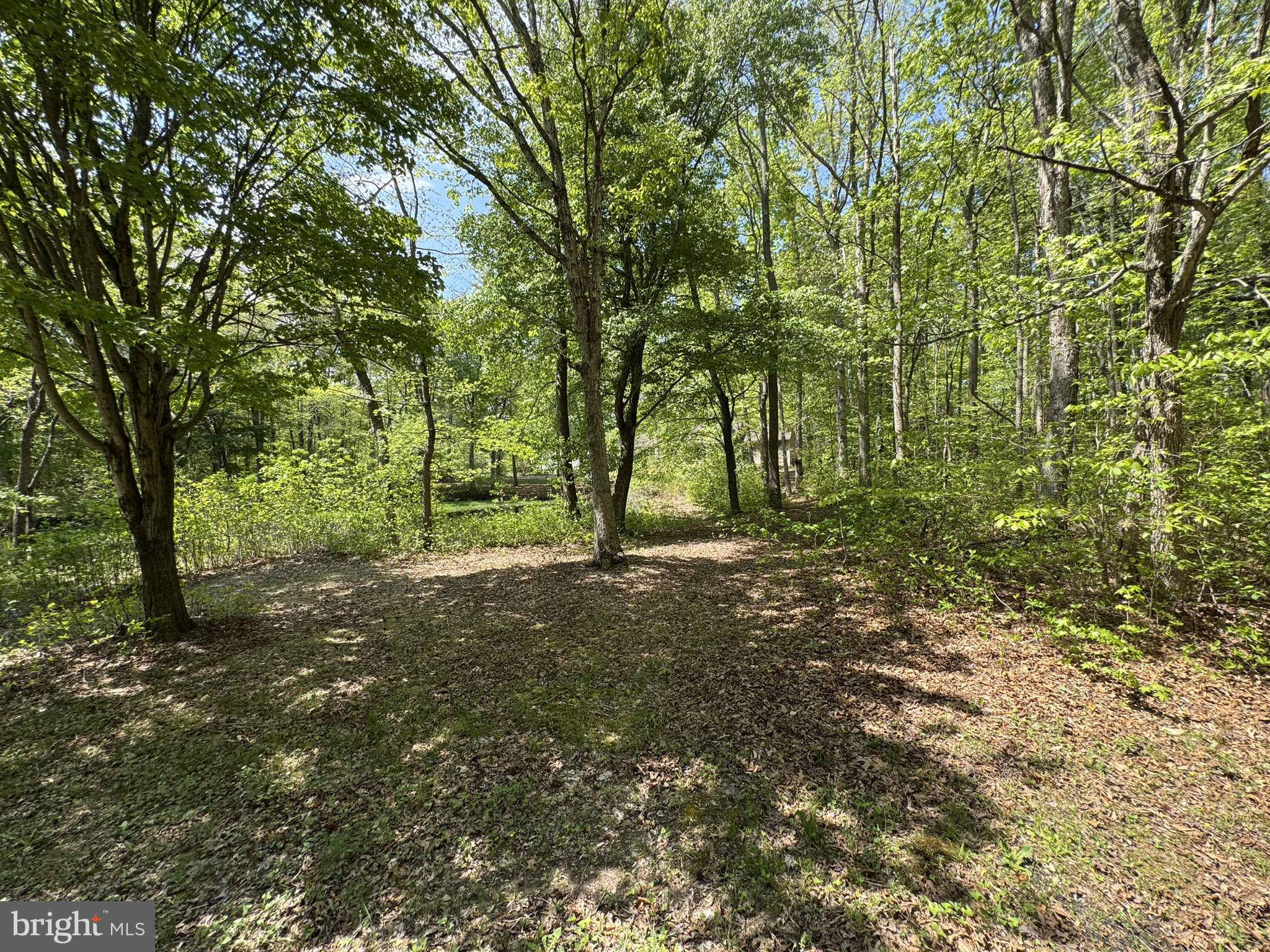 174 Pine Tree Road Townsend, DE 19734 - Photo 73 of 79