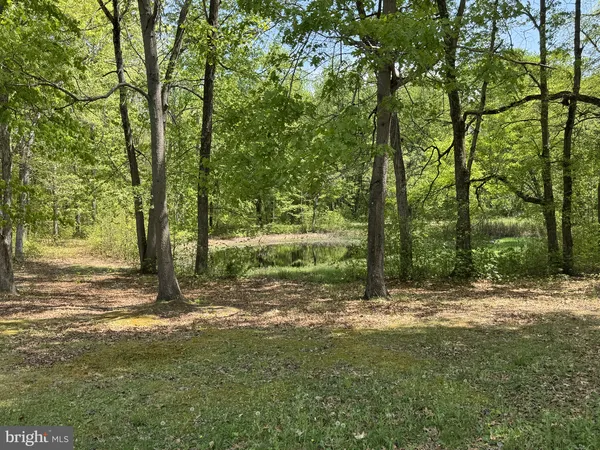 $1,100,000 | 174 Pine Tree Road, Townsend, DE 19734