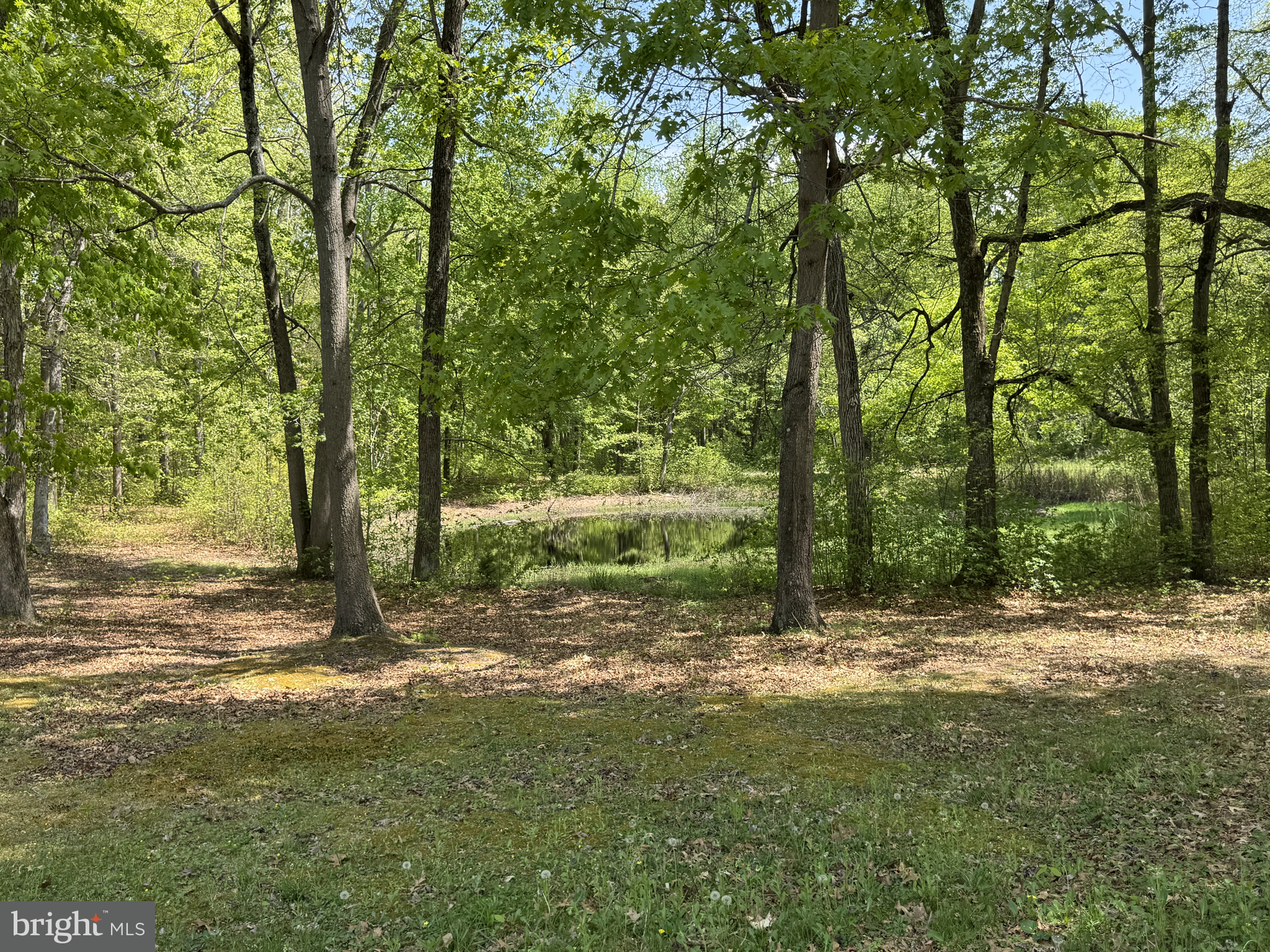 174 Pine Tree Road Townsend, DE 19734 - Photo 74 of 79