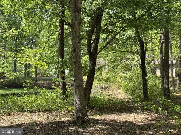 $1,100,000 | 174 Pine Tree Road, Townsend, DE 19734