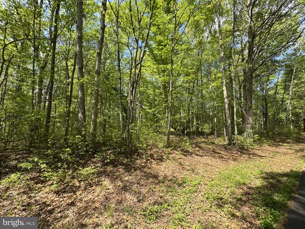 $1,100,000 | 174 Pine Tree Road, Townsend, DE 19734