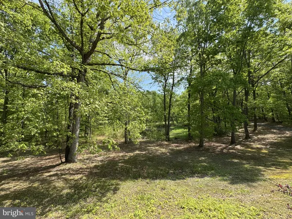 $1,100,000 | 174 Pine Tree Road, Townsend, DE 19734