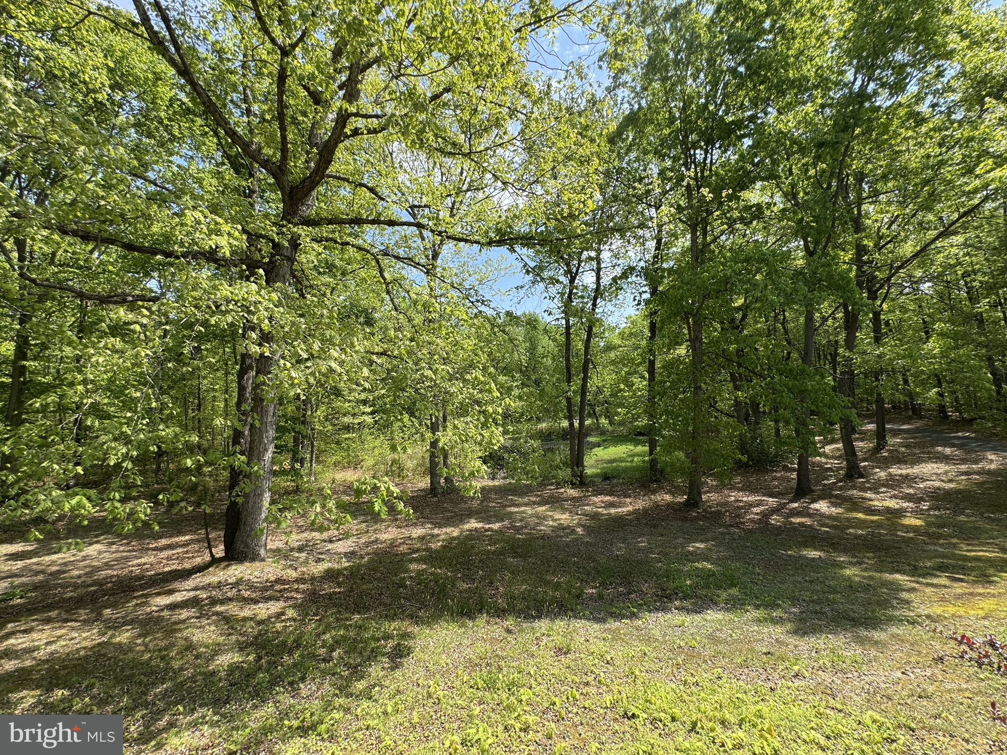174 Pine Tree Road Townsend, DE 19734 - Photo 79 of 79