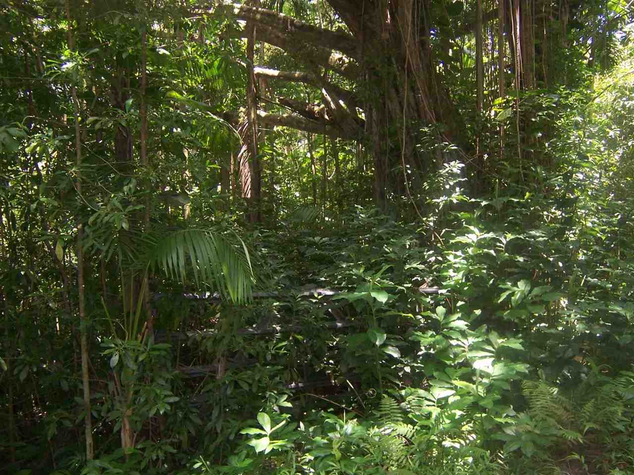 0 Nahiku Road, Unit 29F Hana, HI 96713 - Photo 1 of 6 Gallery Image 1