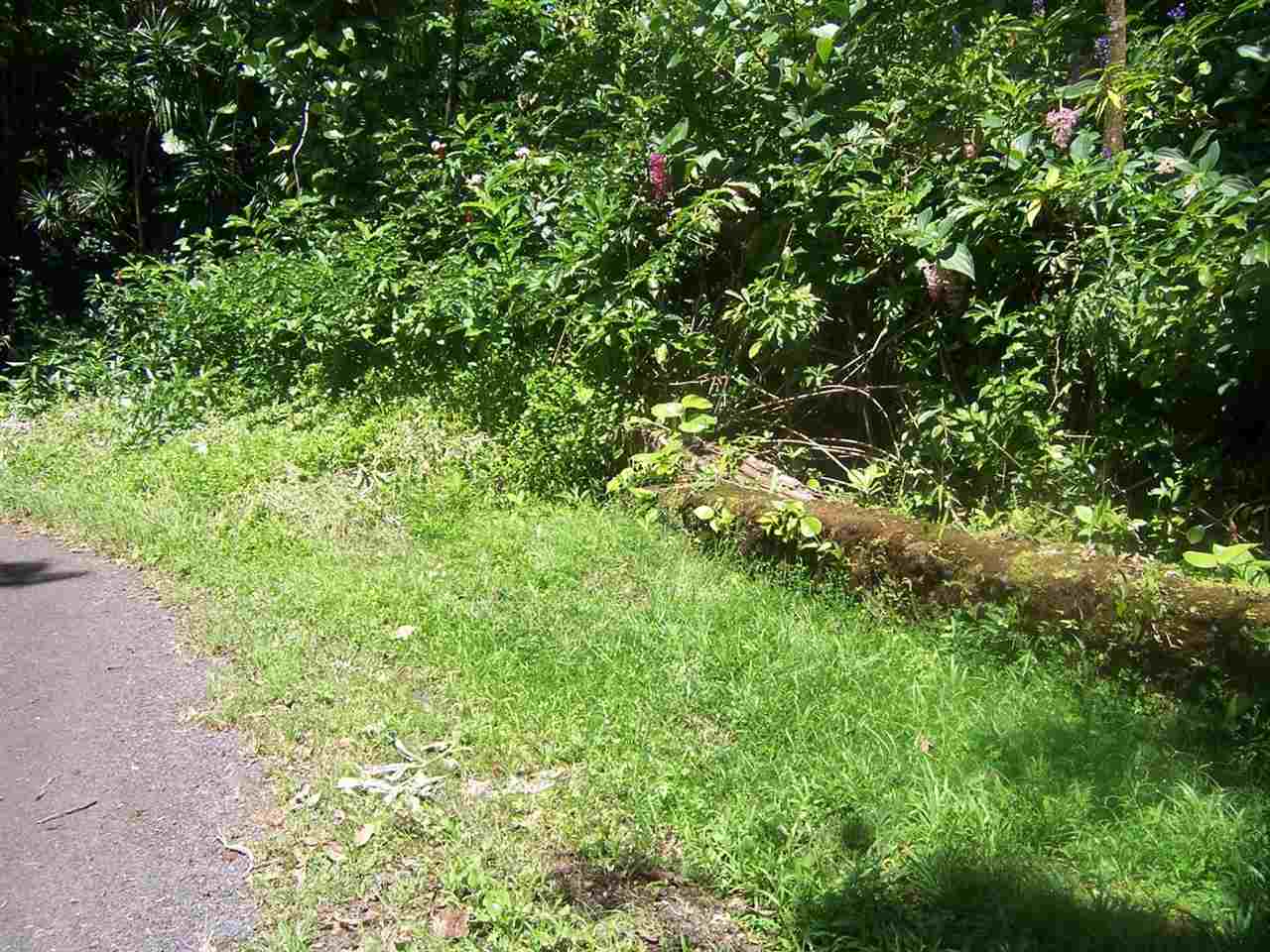 0 Nahiku Road, Unit 29F Hana, HI 96713 - Photo 3 of 6 Gallery Image 3