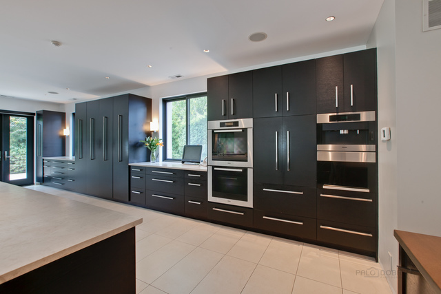 435 Thorne Lane Lake Forest, IL 60045 - Photo 15 of 42 a kitchen with stainless steel appliances kitchen island granite countertop a refrigerator and a sink