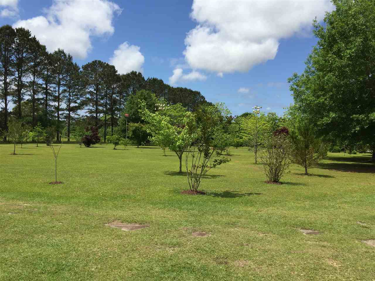 14126 County Road 55 Foley, AL 36535 - Photo 36 of 41